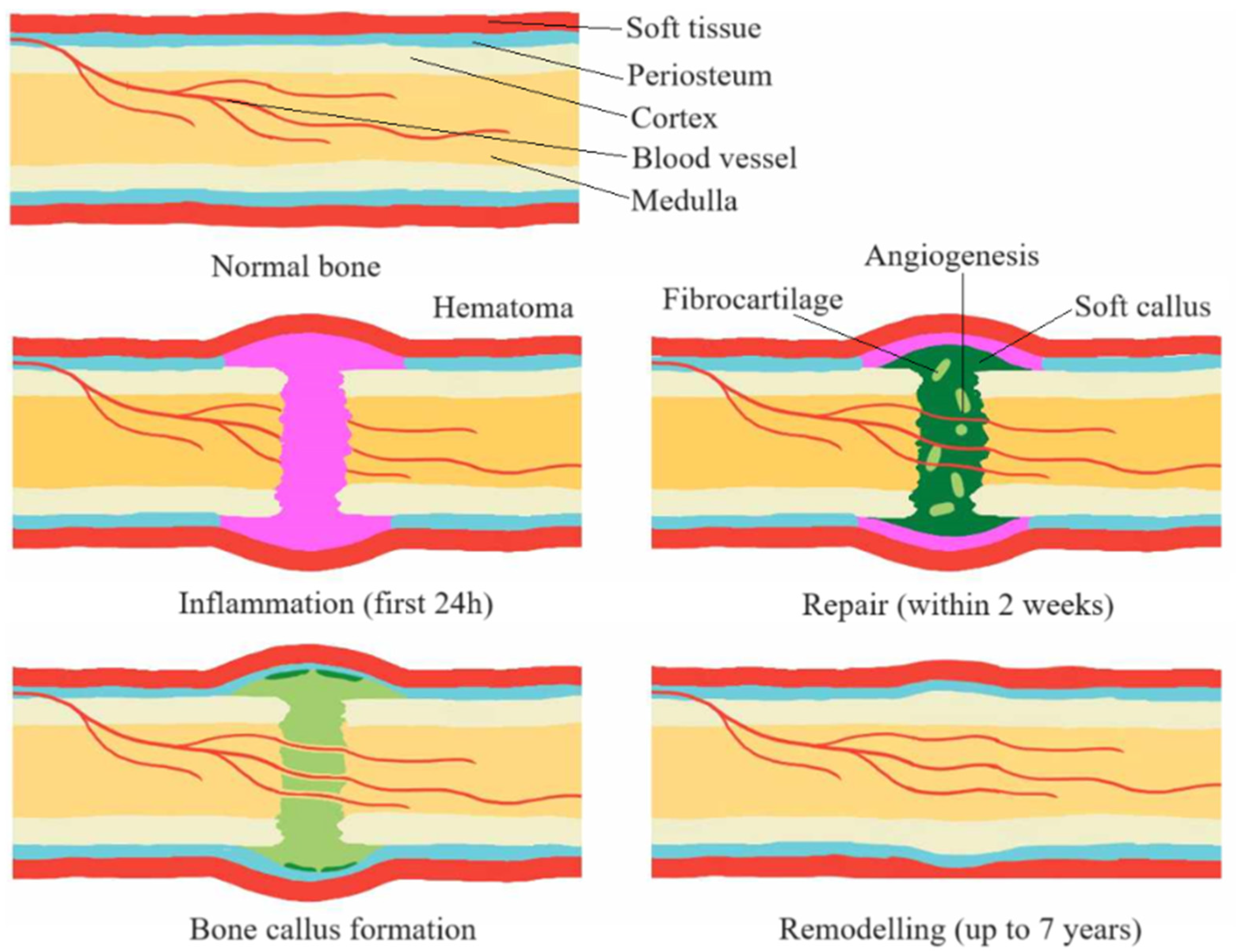 Applsci 14 07976 g003