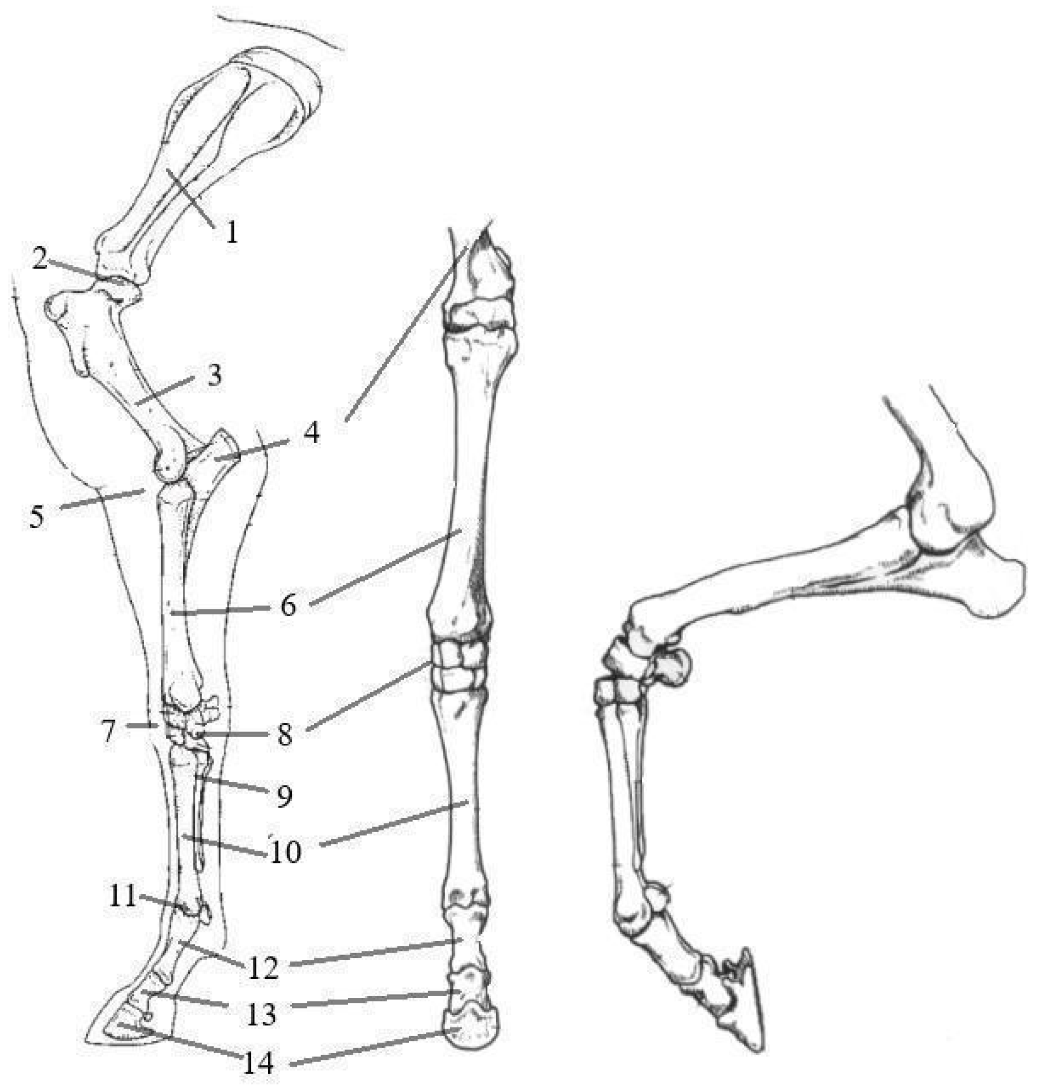 Applsci 14 07976 g004