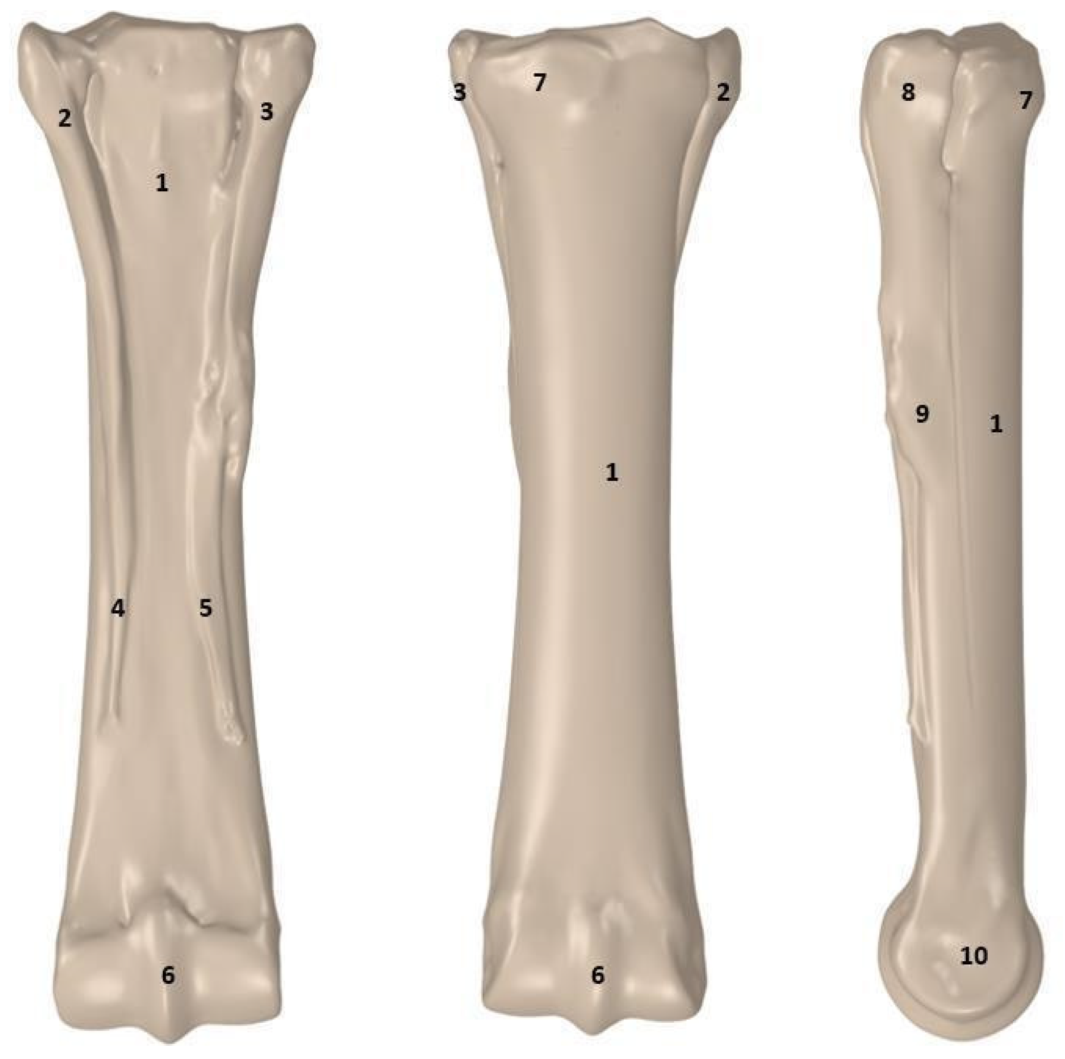 Applsci 14 07976 g005