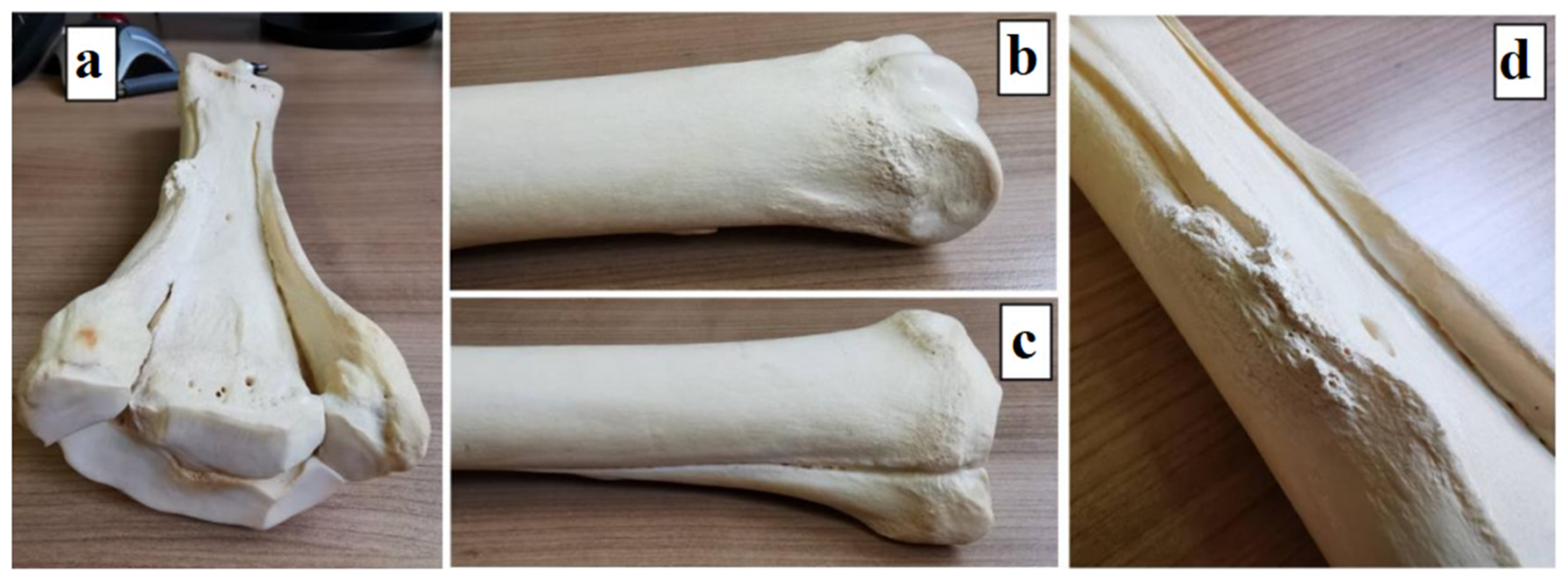 Applsci 14 07976 g006