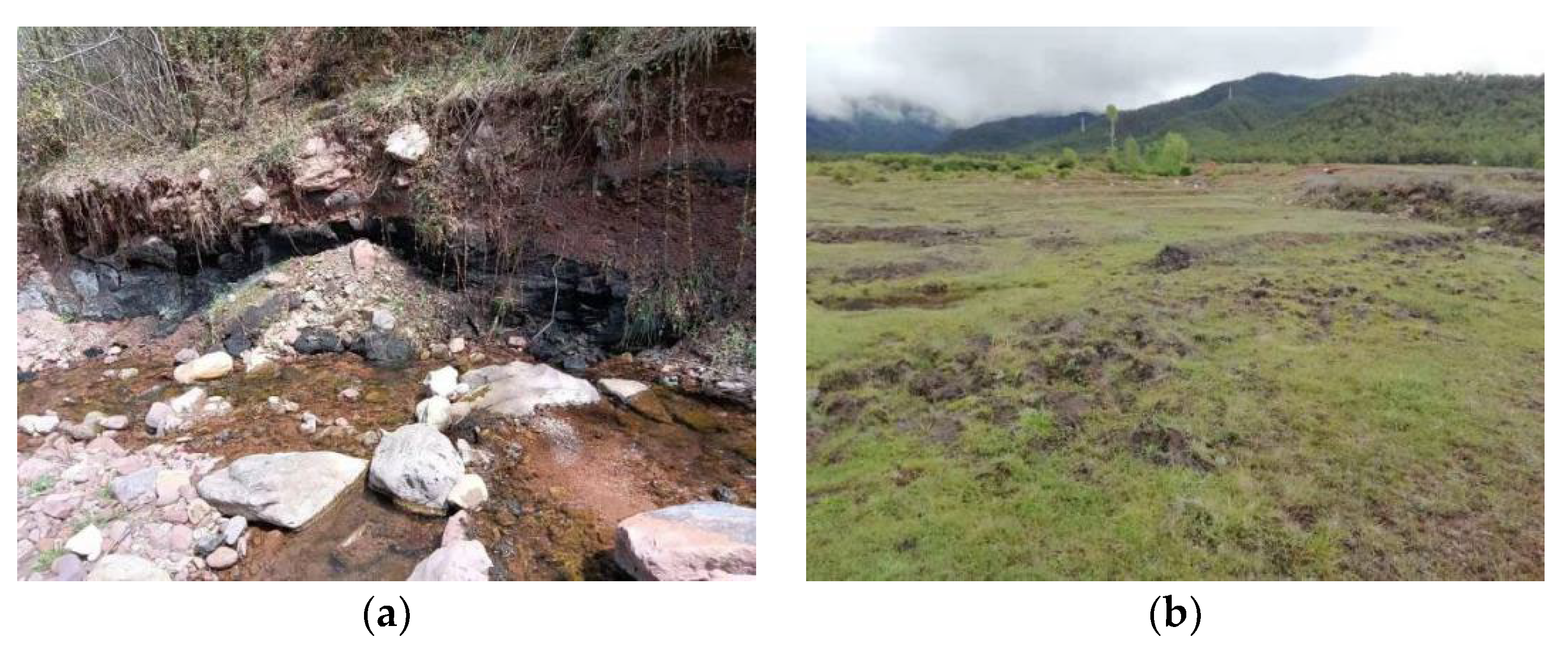 Applsci 14 07990 g004