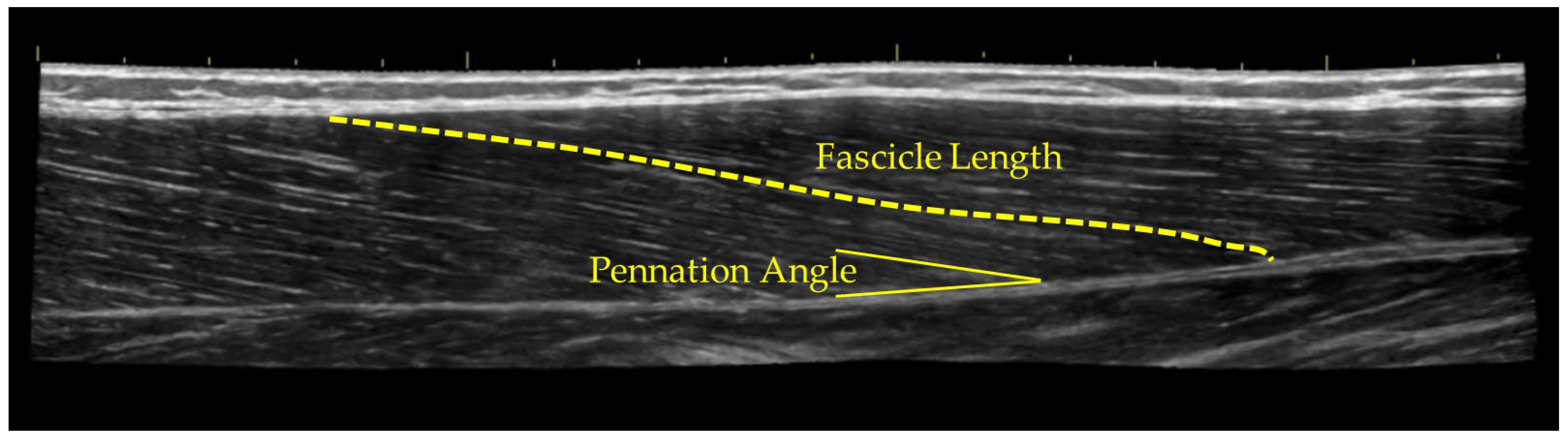 Applsci 14 07994 g002