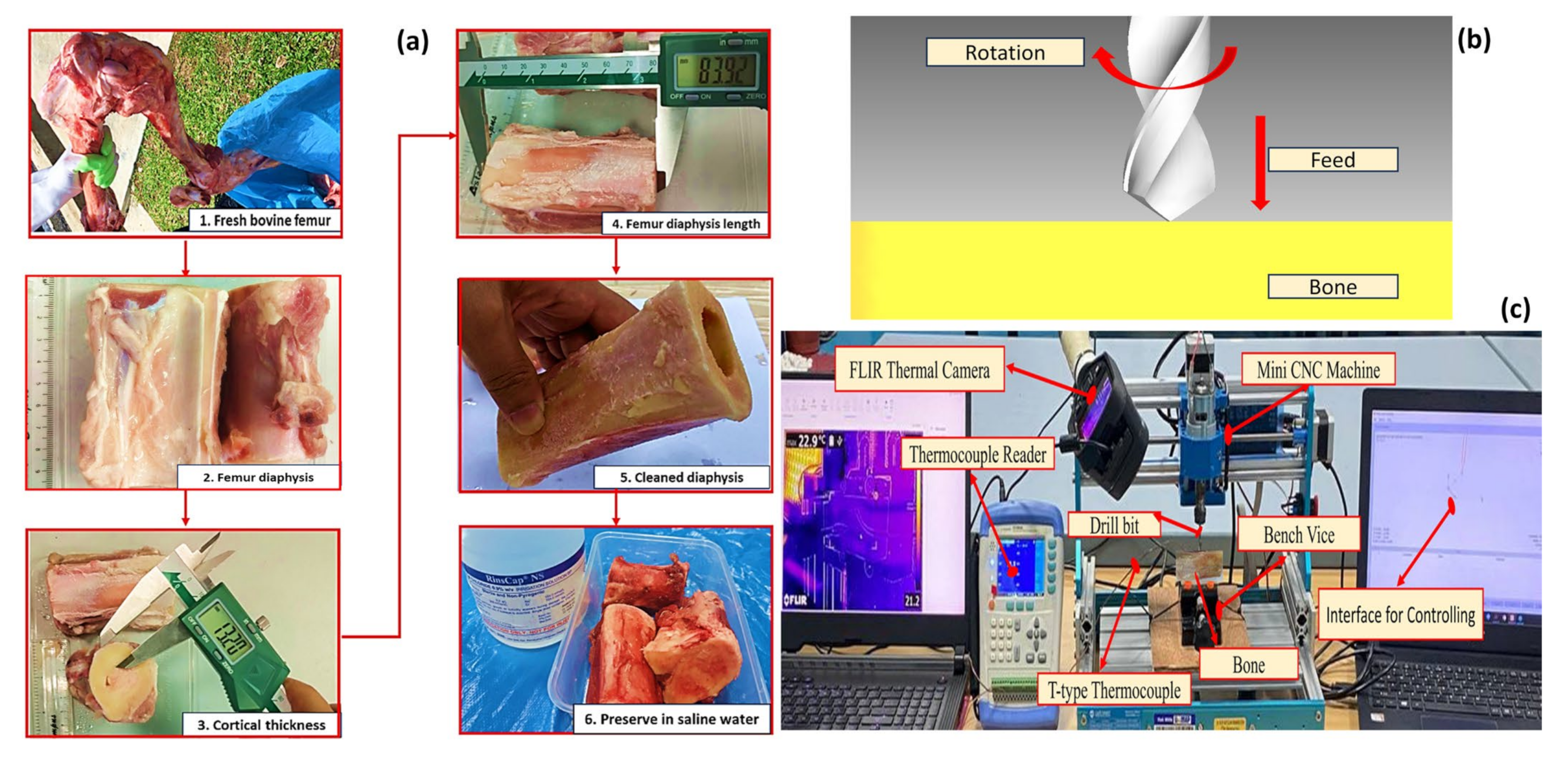 Applsci 14 08001 g001