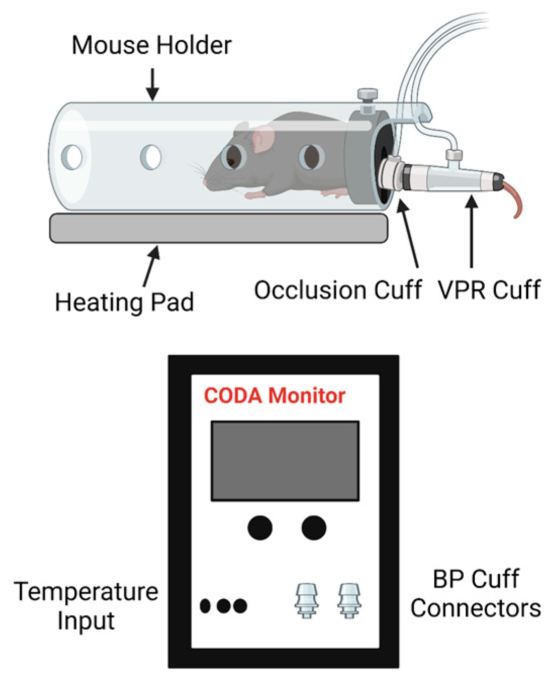 Applsci 14 08006 g001