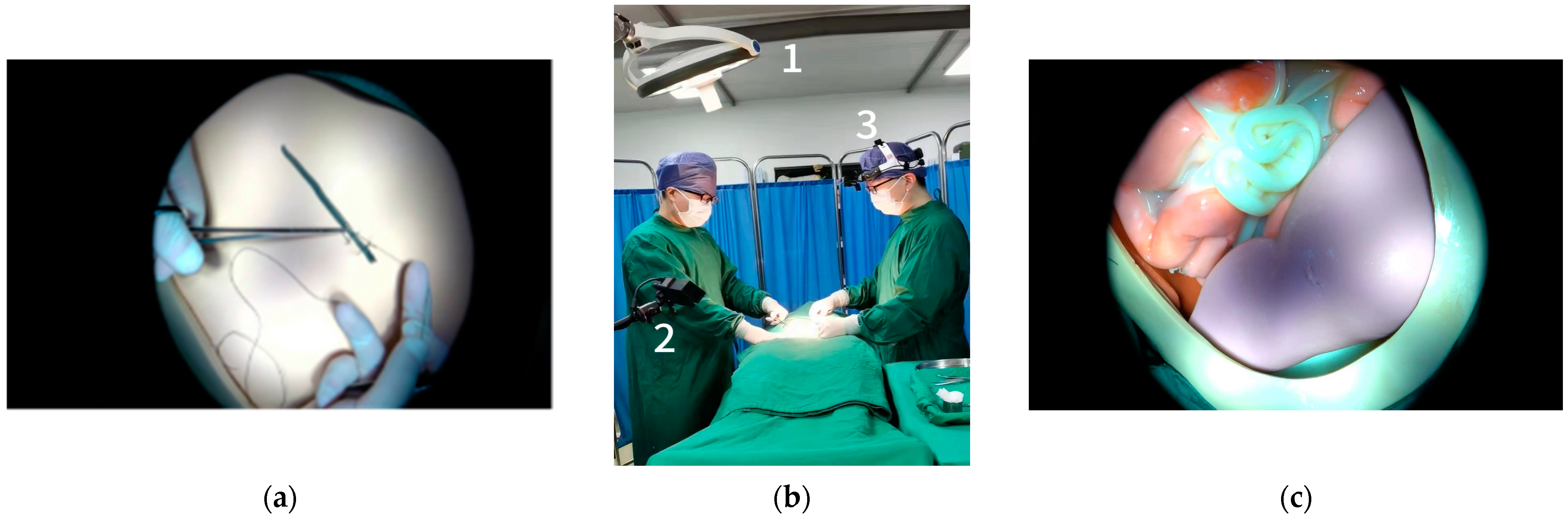 Applsci 14 08021 g001