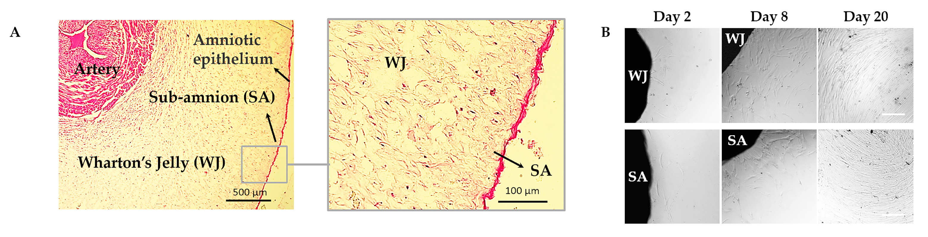 Applsci 14 08036 g001