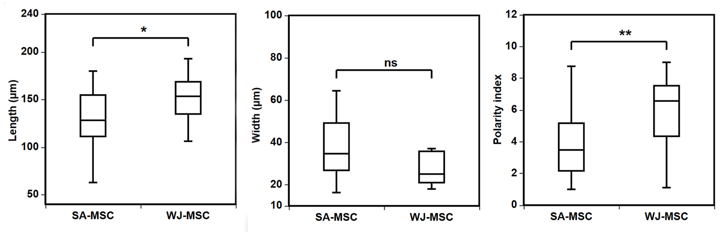 Applsci 14 08036 g002
