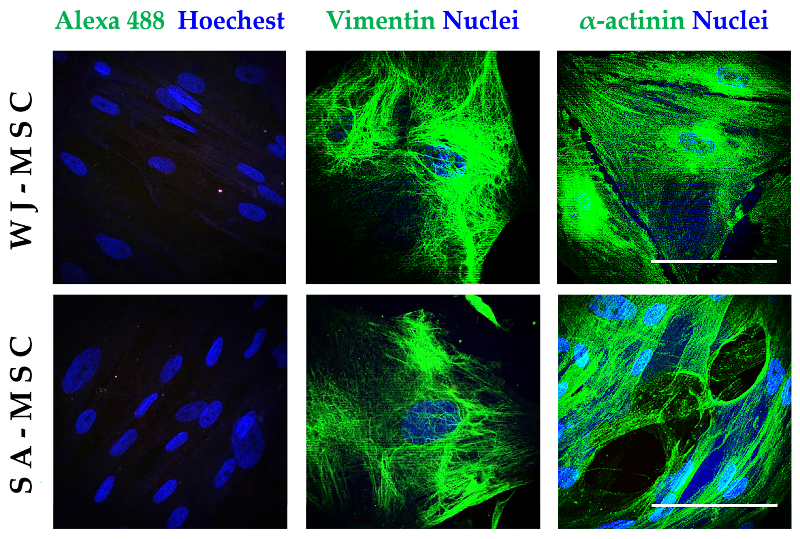 Applsci 14 08036 g005