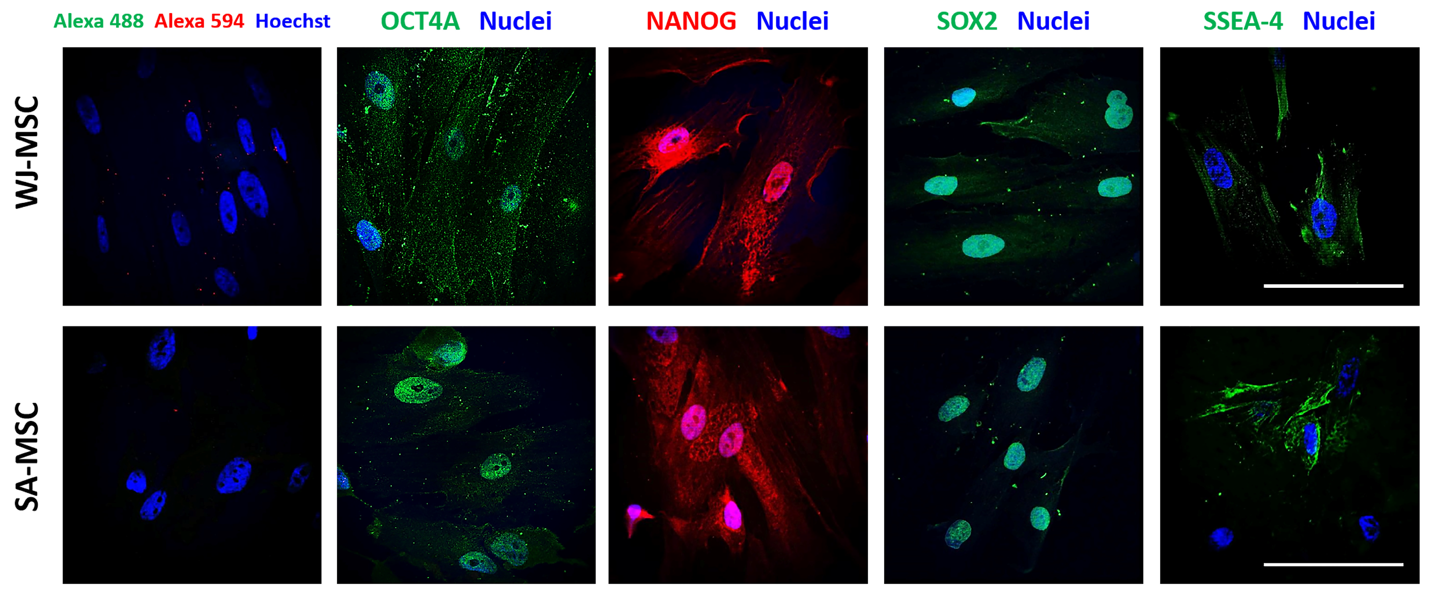 Applsci 14 08036 g007