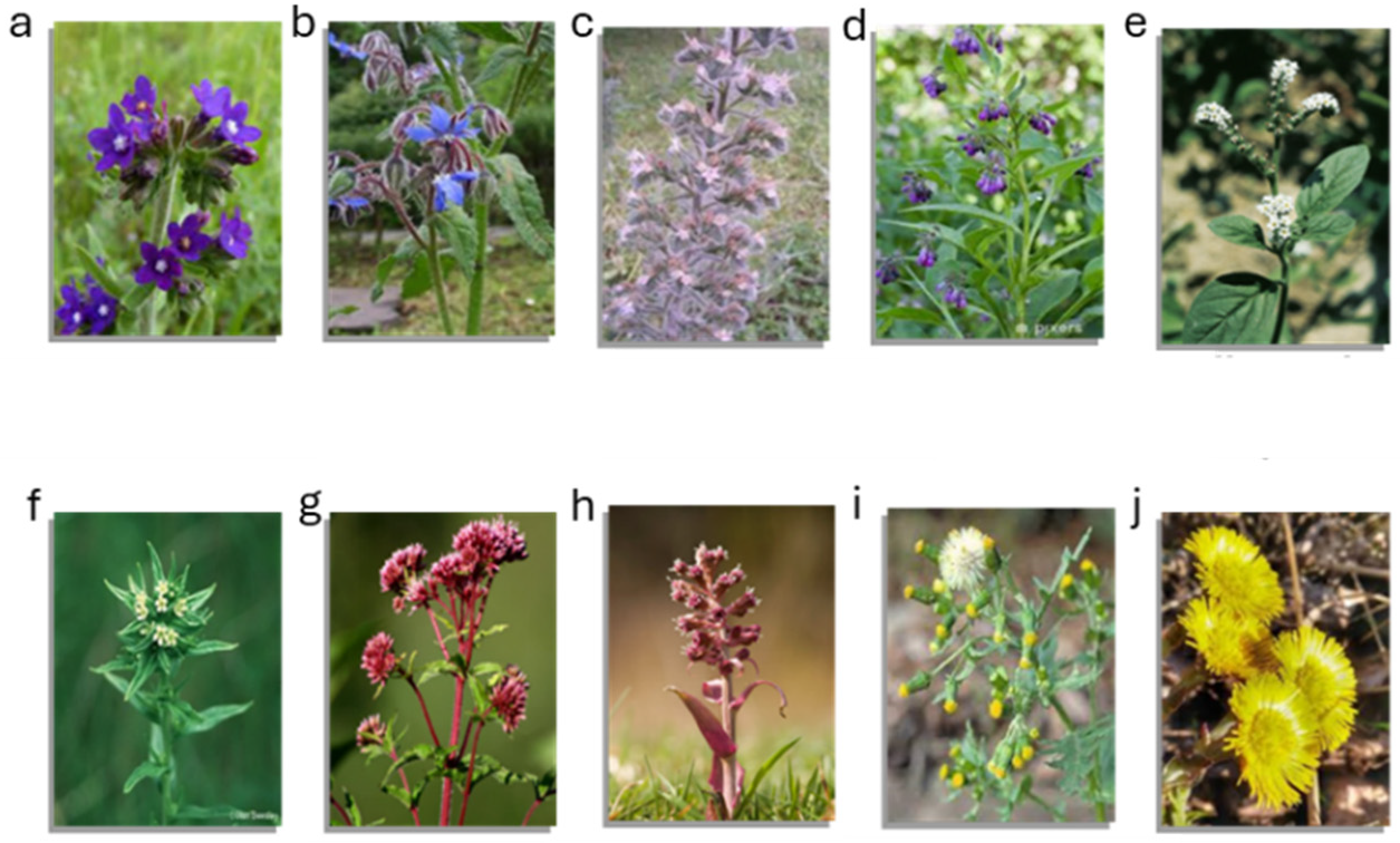 Applsci 14 08058 g003