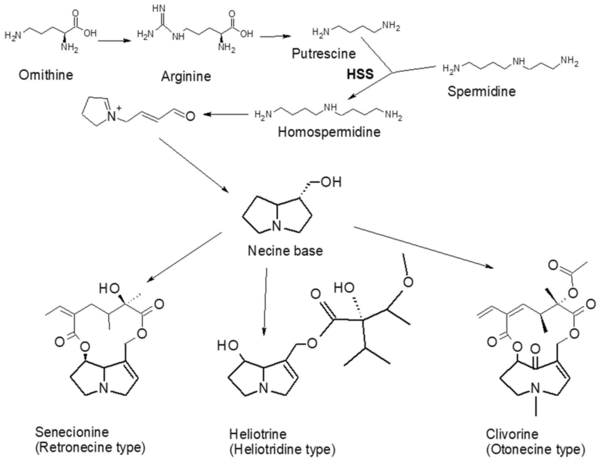 Applsci 14 08058 g004