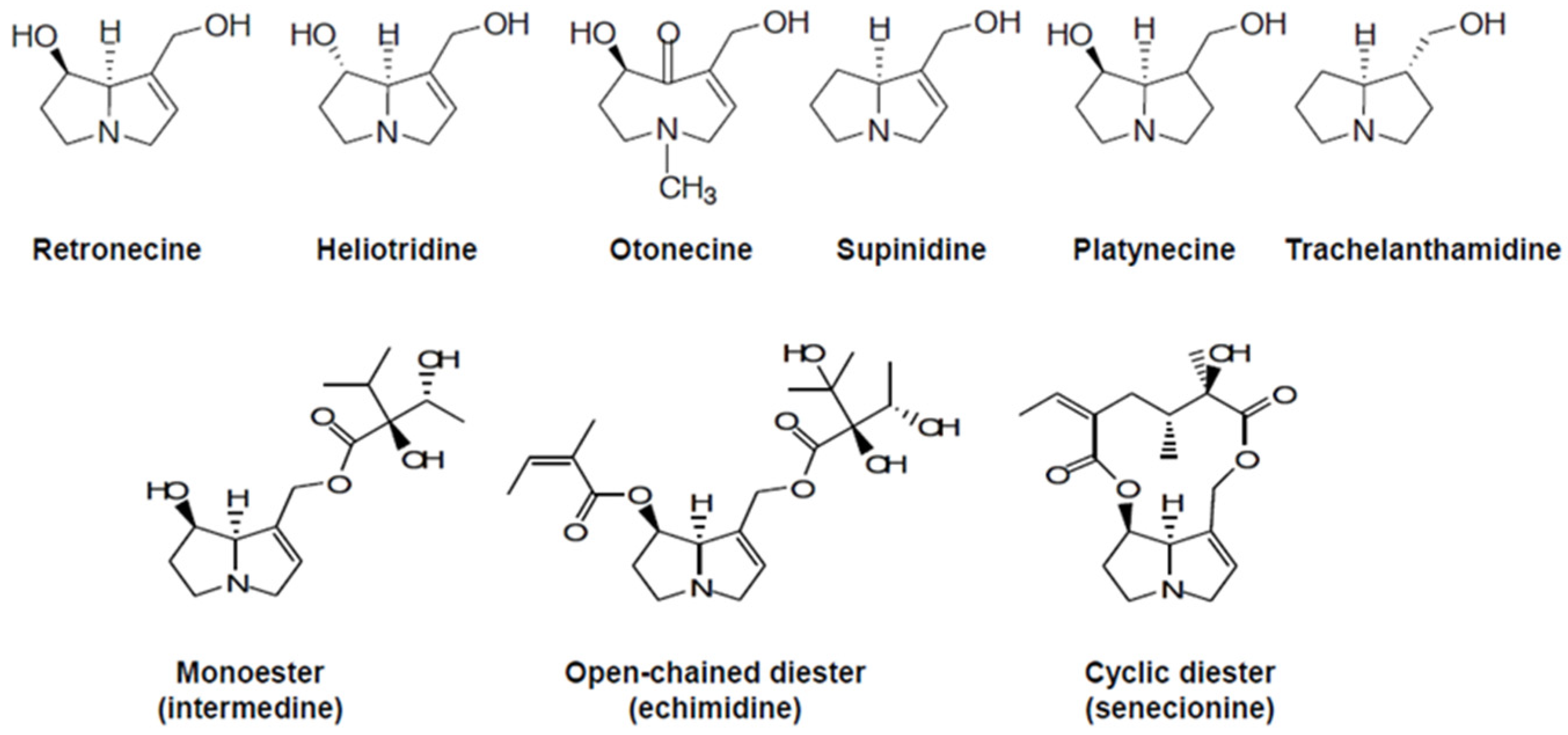Applsci 14 08058 g005