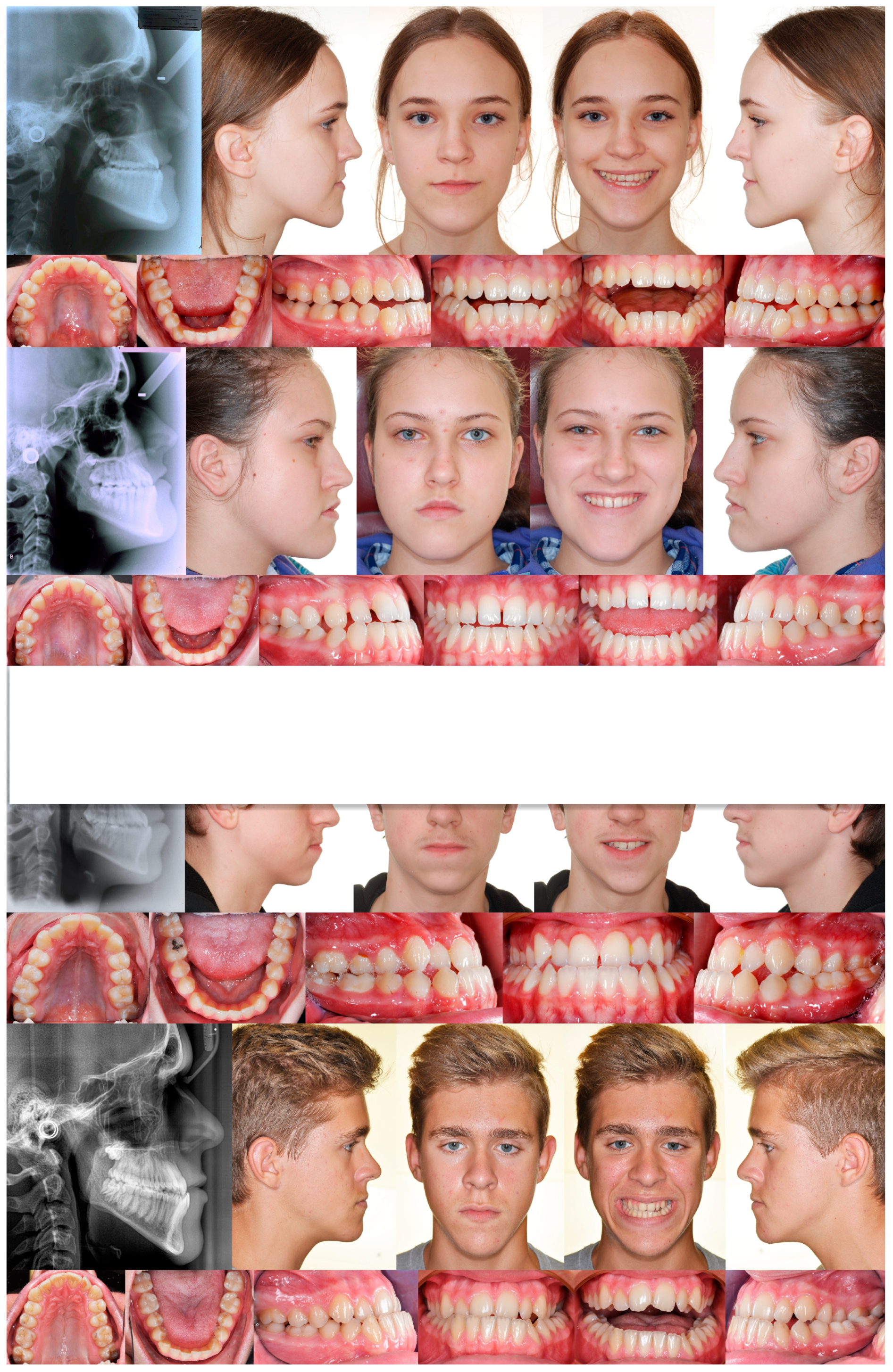 Applsci 14 08095 g001