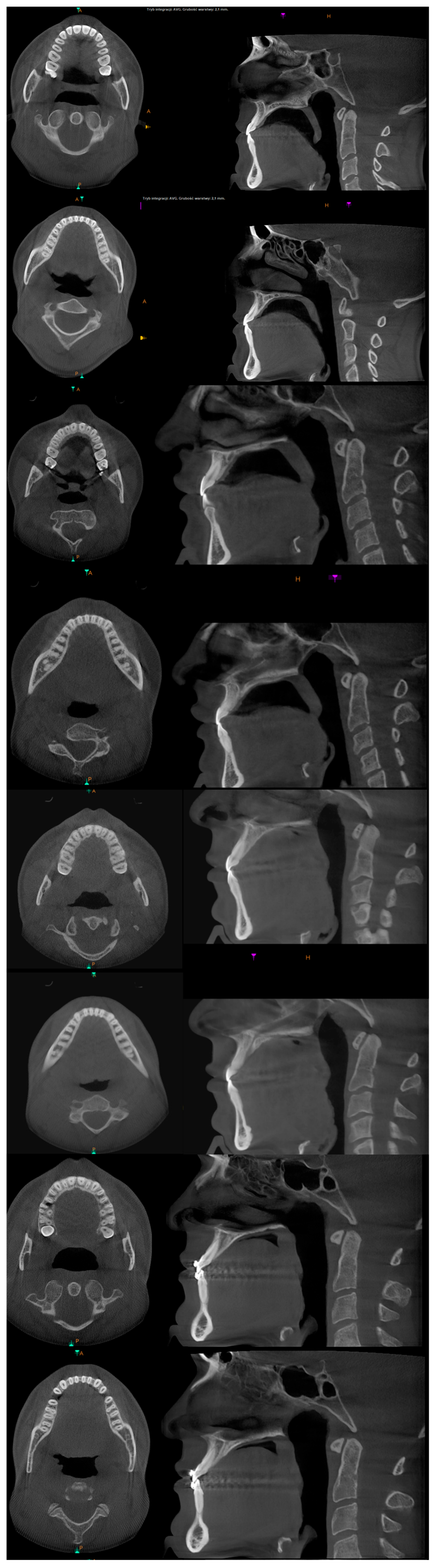 Applsci 14 08095 g025