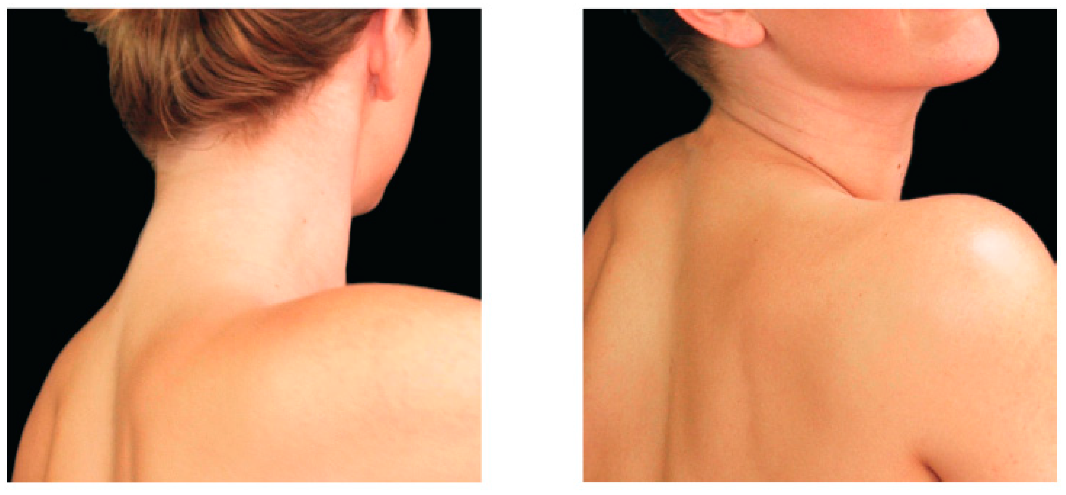 Applsci 14 08102 g002