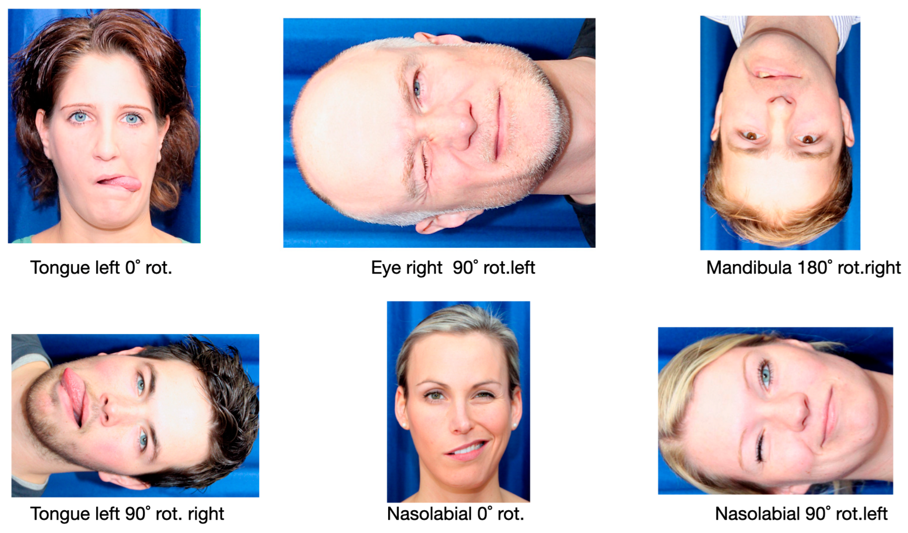 Applsci 14 08102 g003