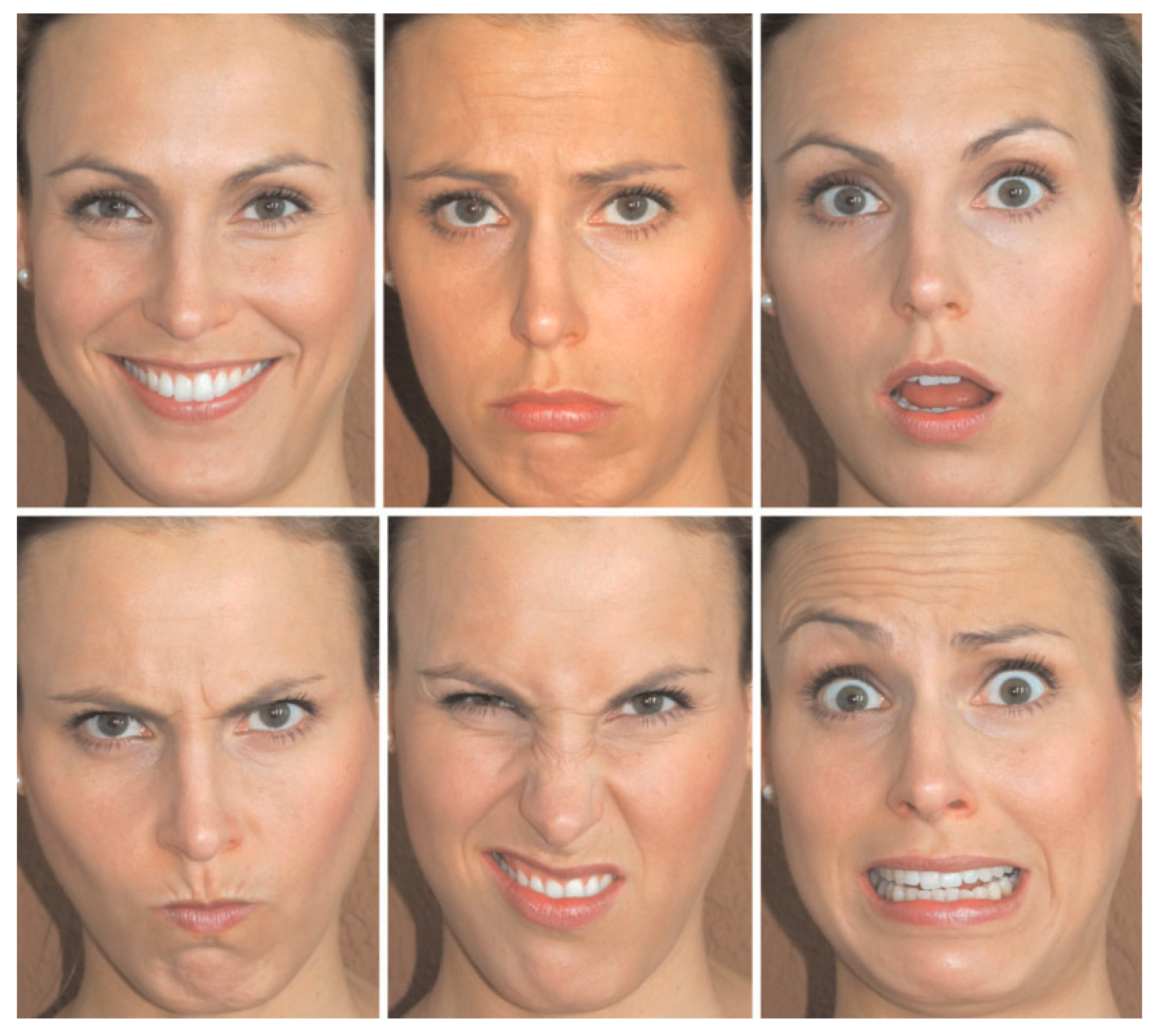 Applsci 14 08102 g004