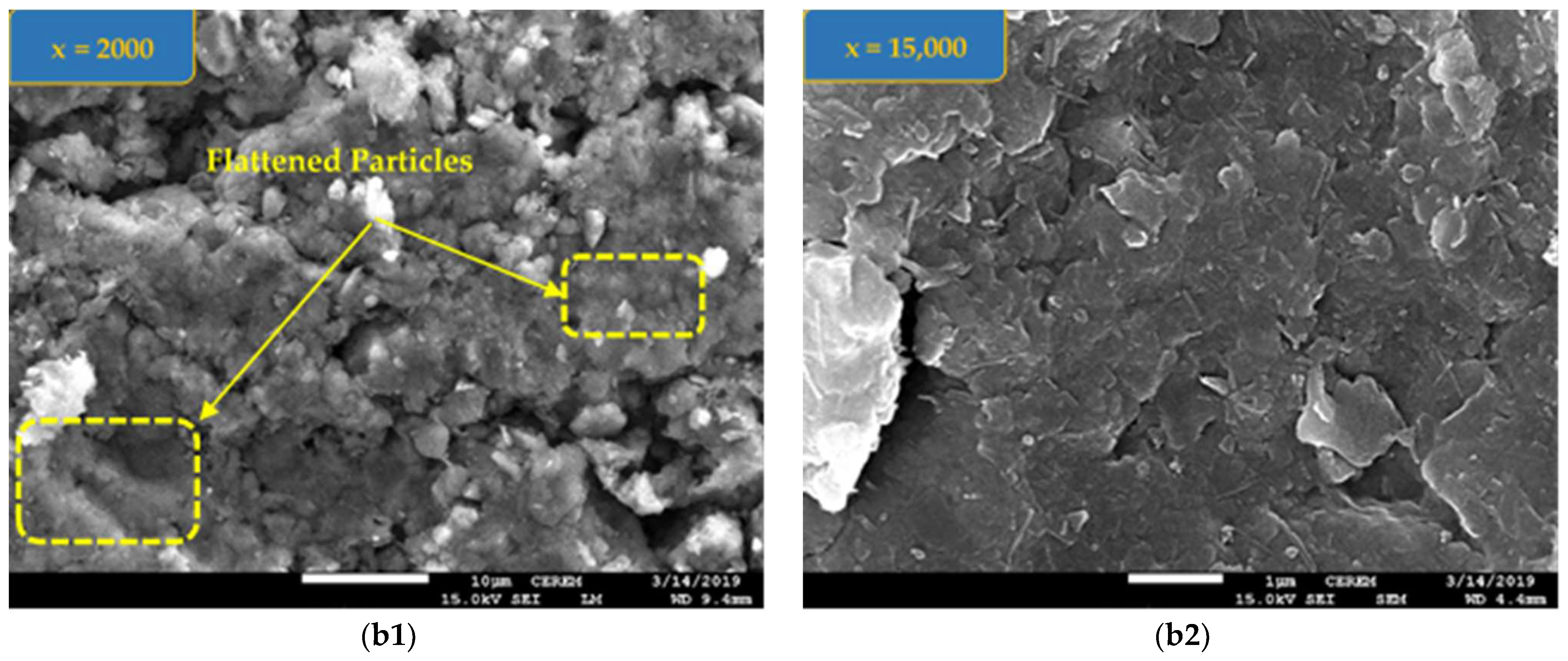 Applsci 14 08152 g013b