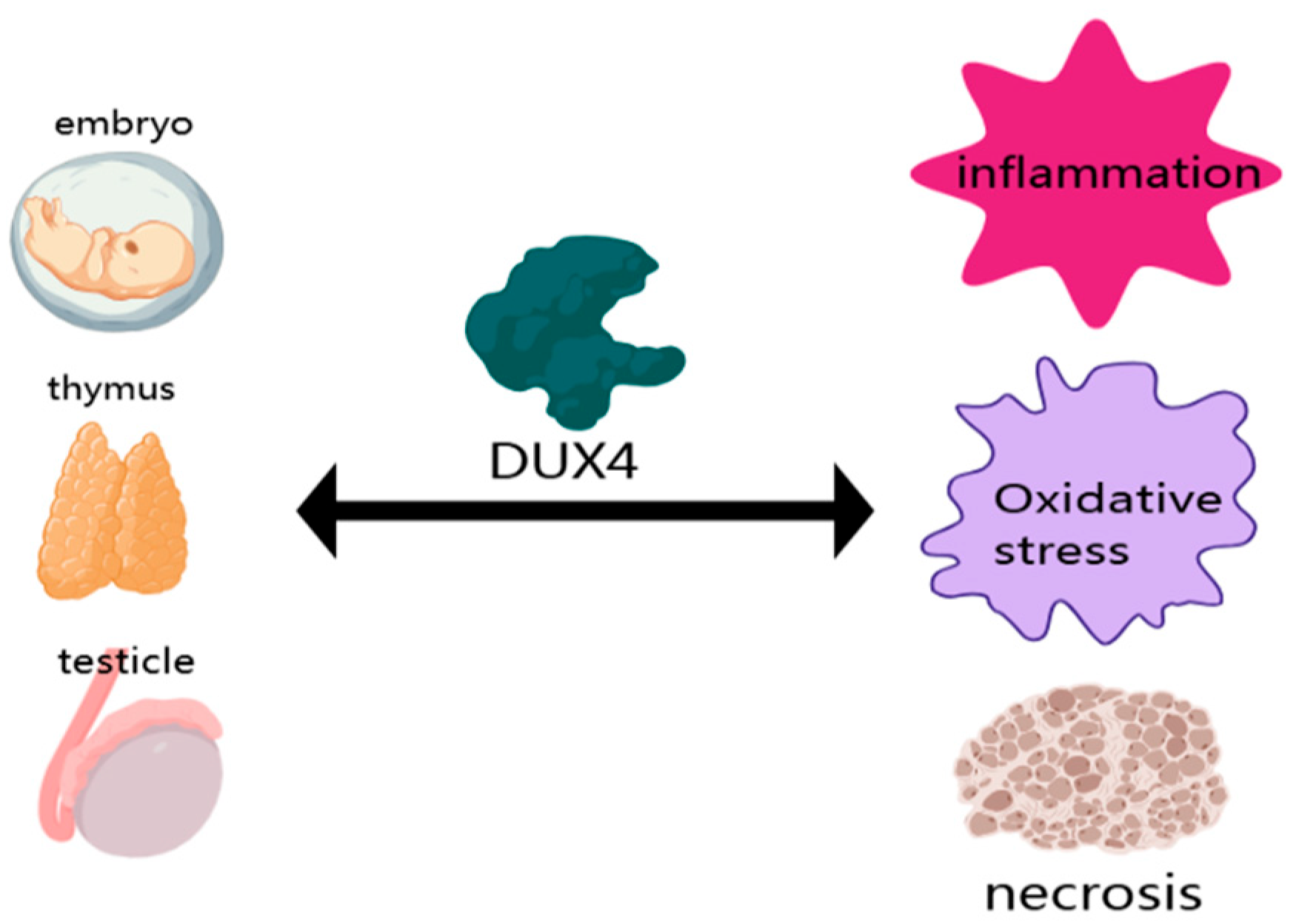 Applsci 14 08222 g002