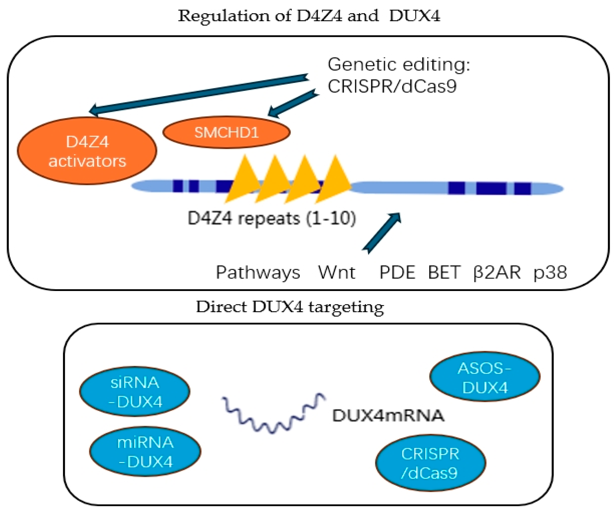 Applsci 14 08222 g003