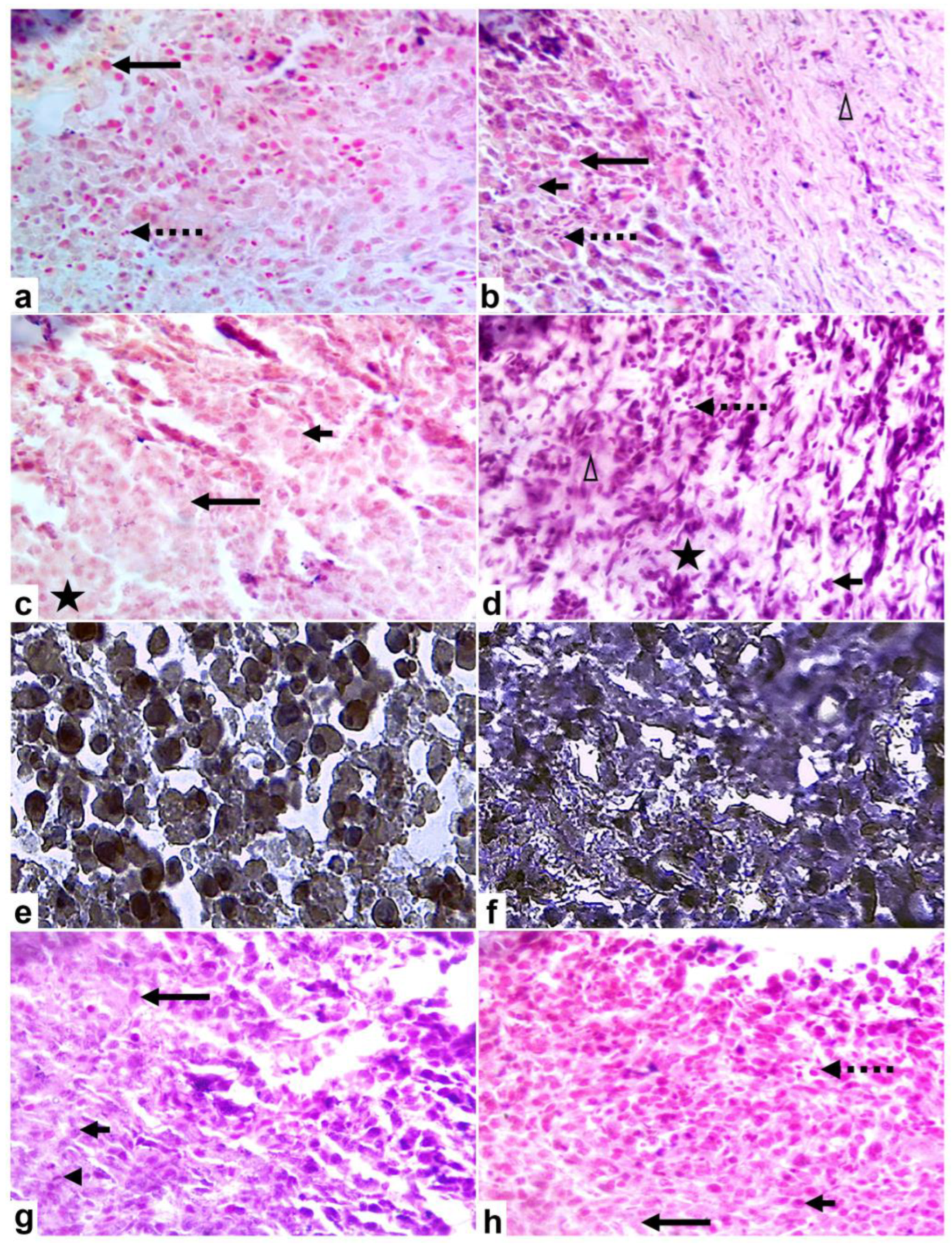 Applsci 14 08251 g006