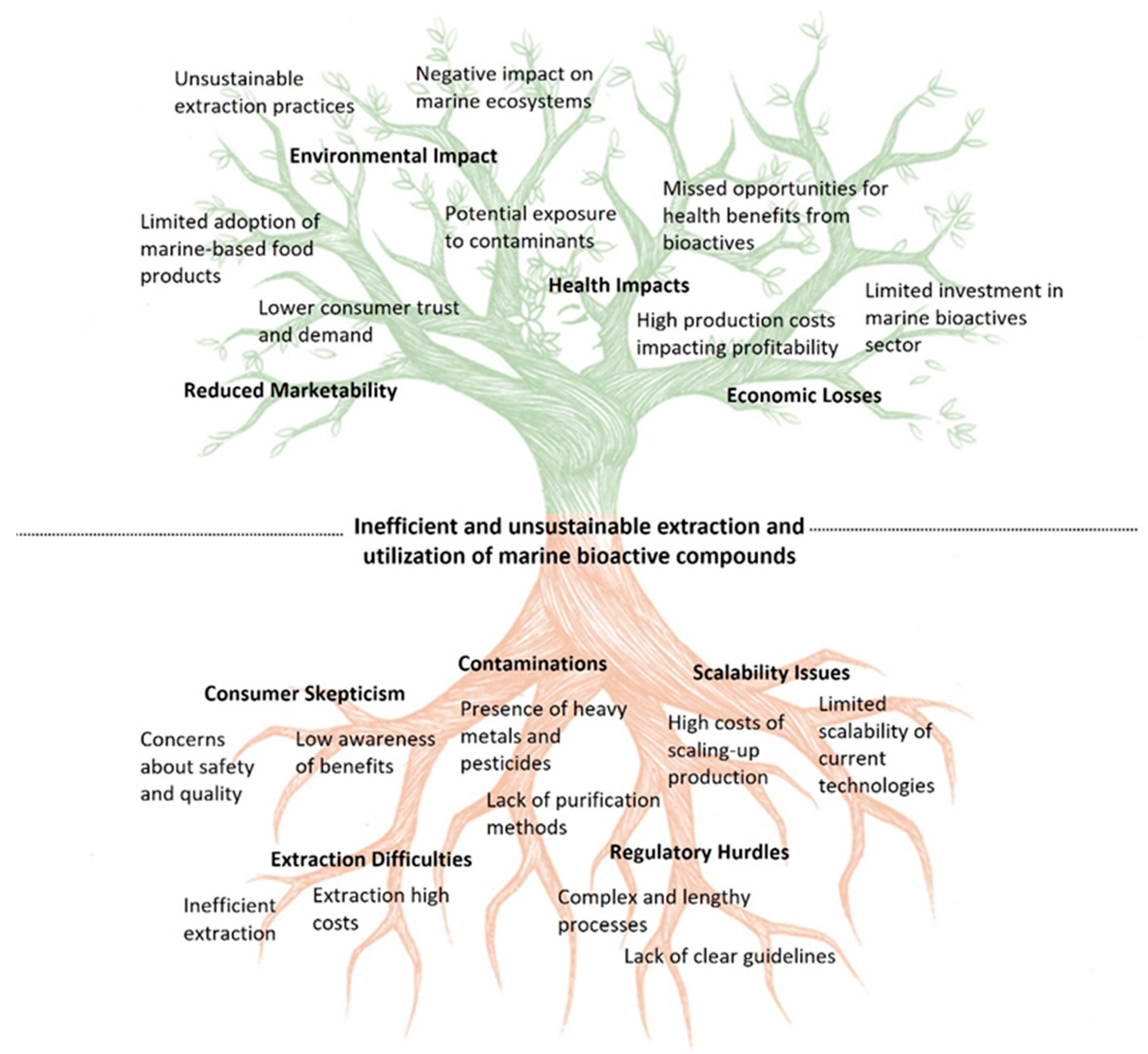 Applsci 14 08255 g001