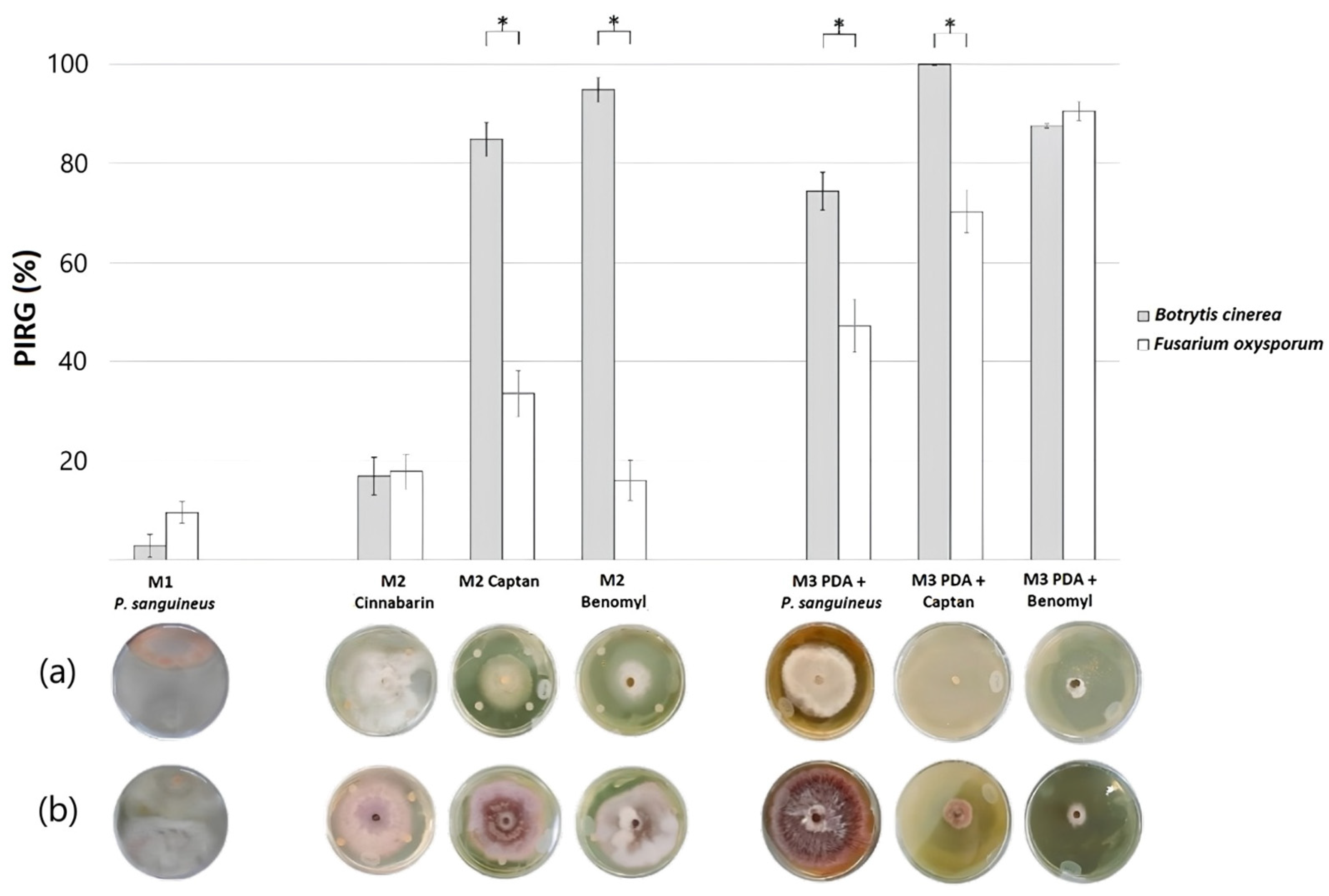 Applsci 14 08263 g002