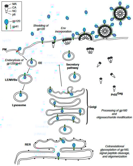 Applsci 14 08271 g001