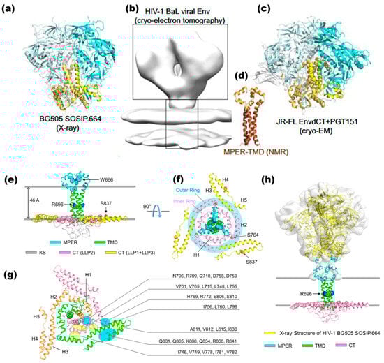 Applsci 14 08271 g003