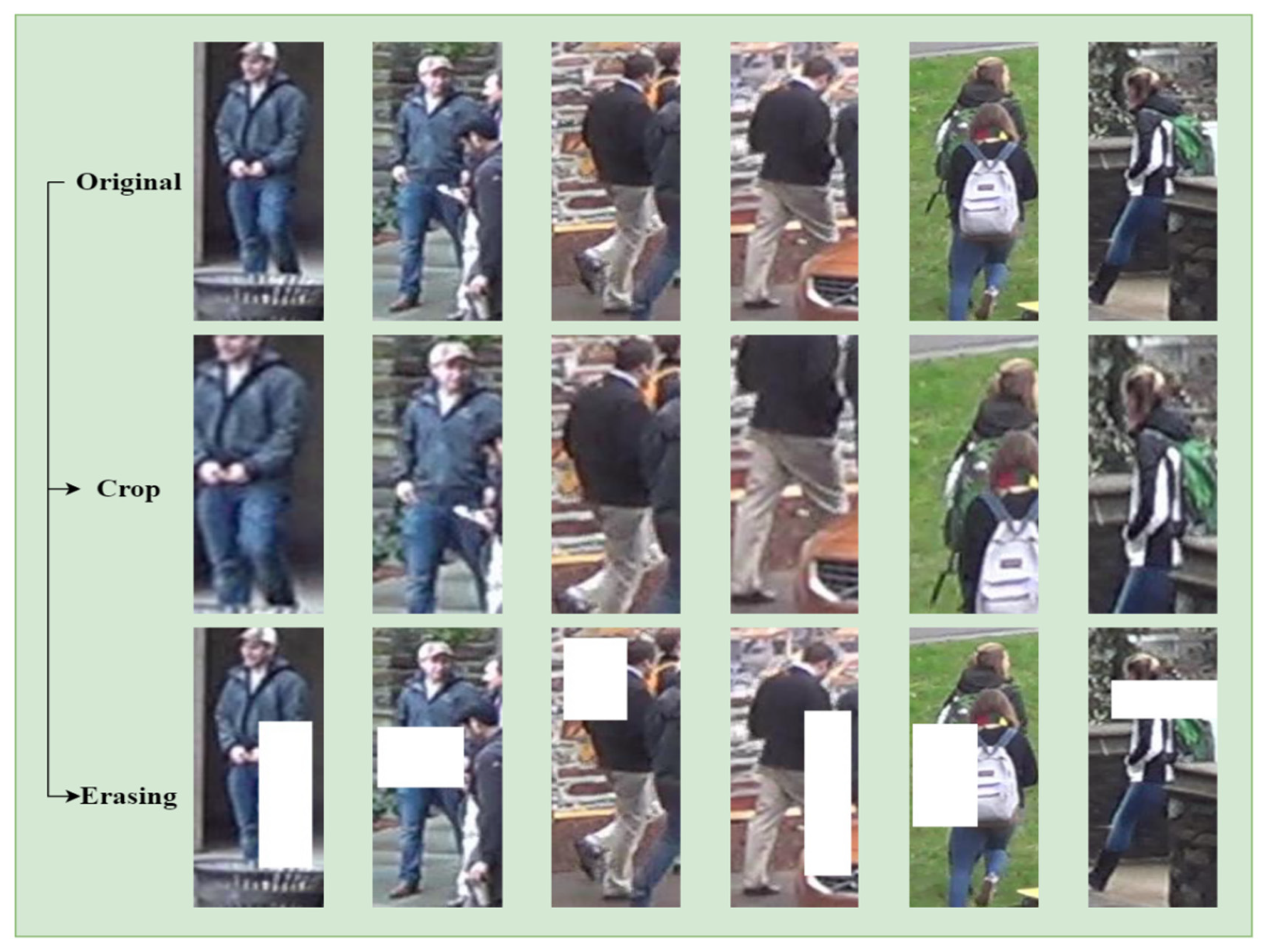 Applsci 14 08279 g003