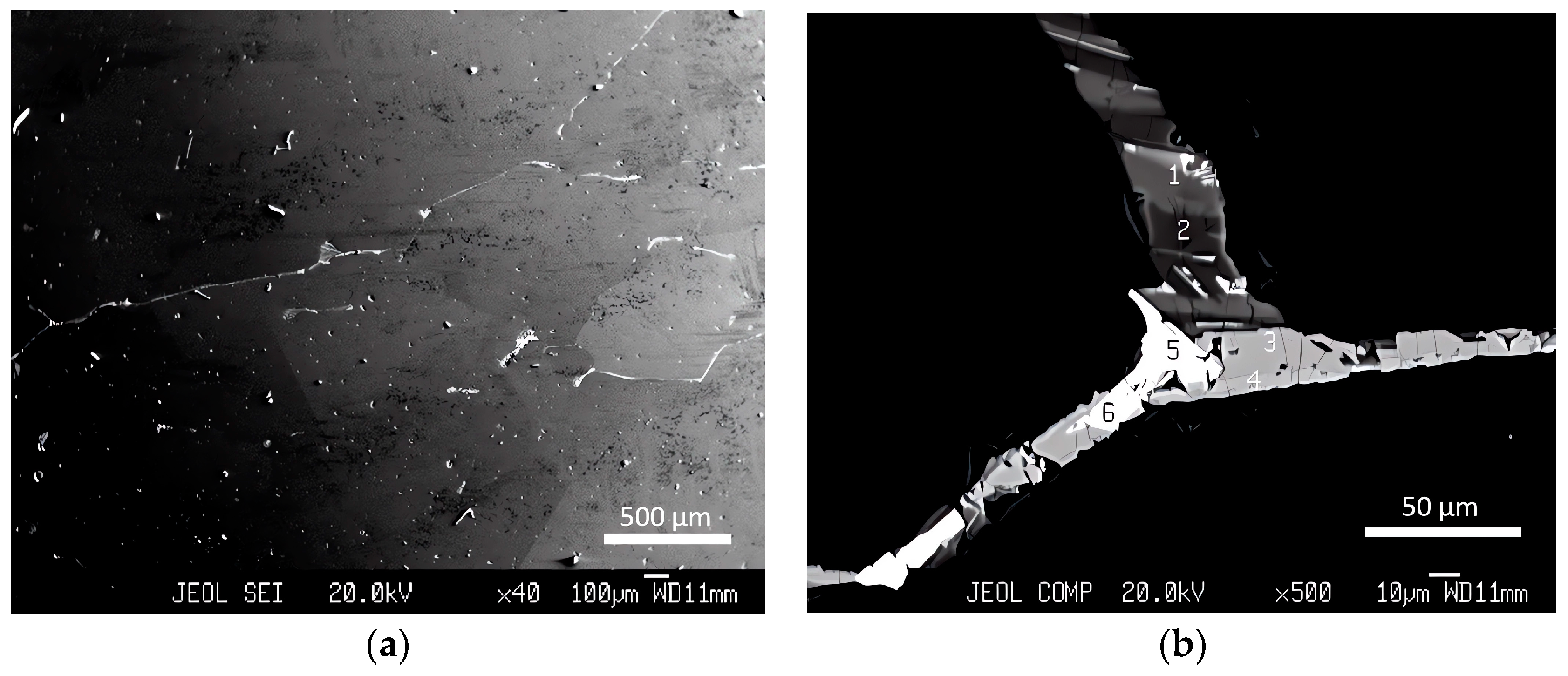 Applsci 14 08346 g001