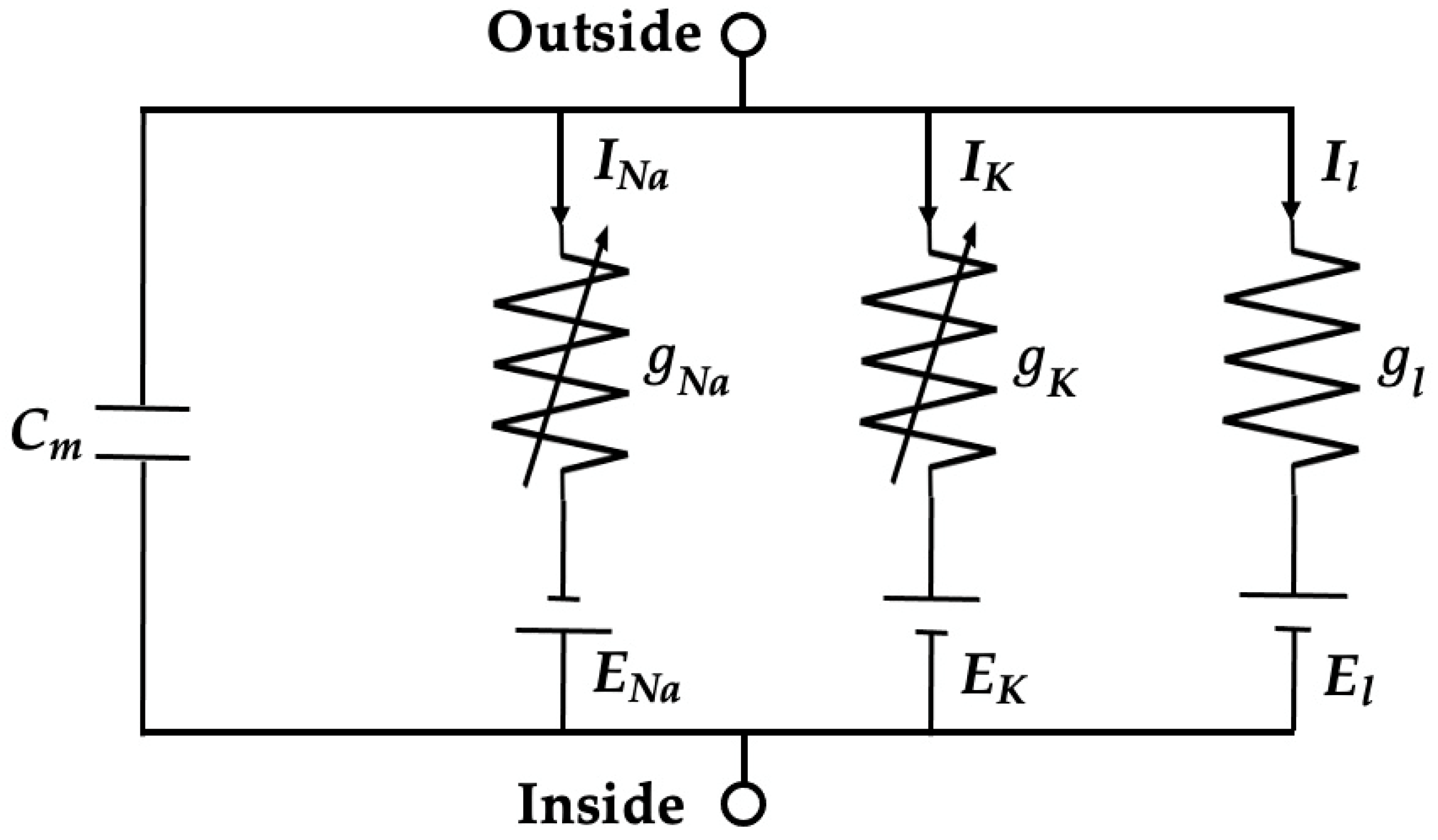Applsci 14 08349 g001