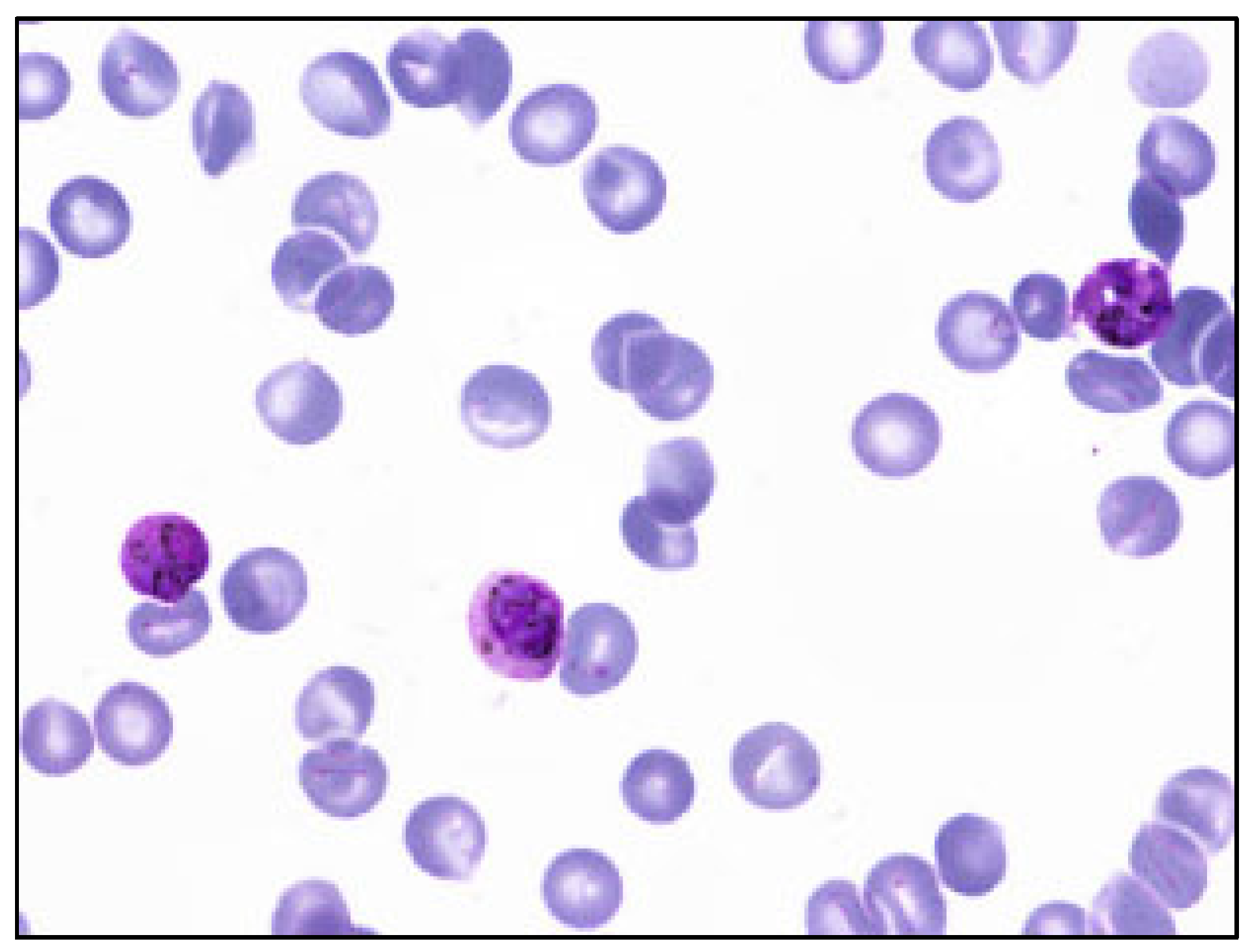 Applsci 14 08402 g001