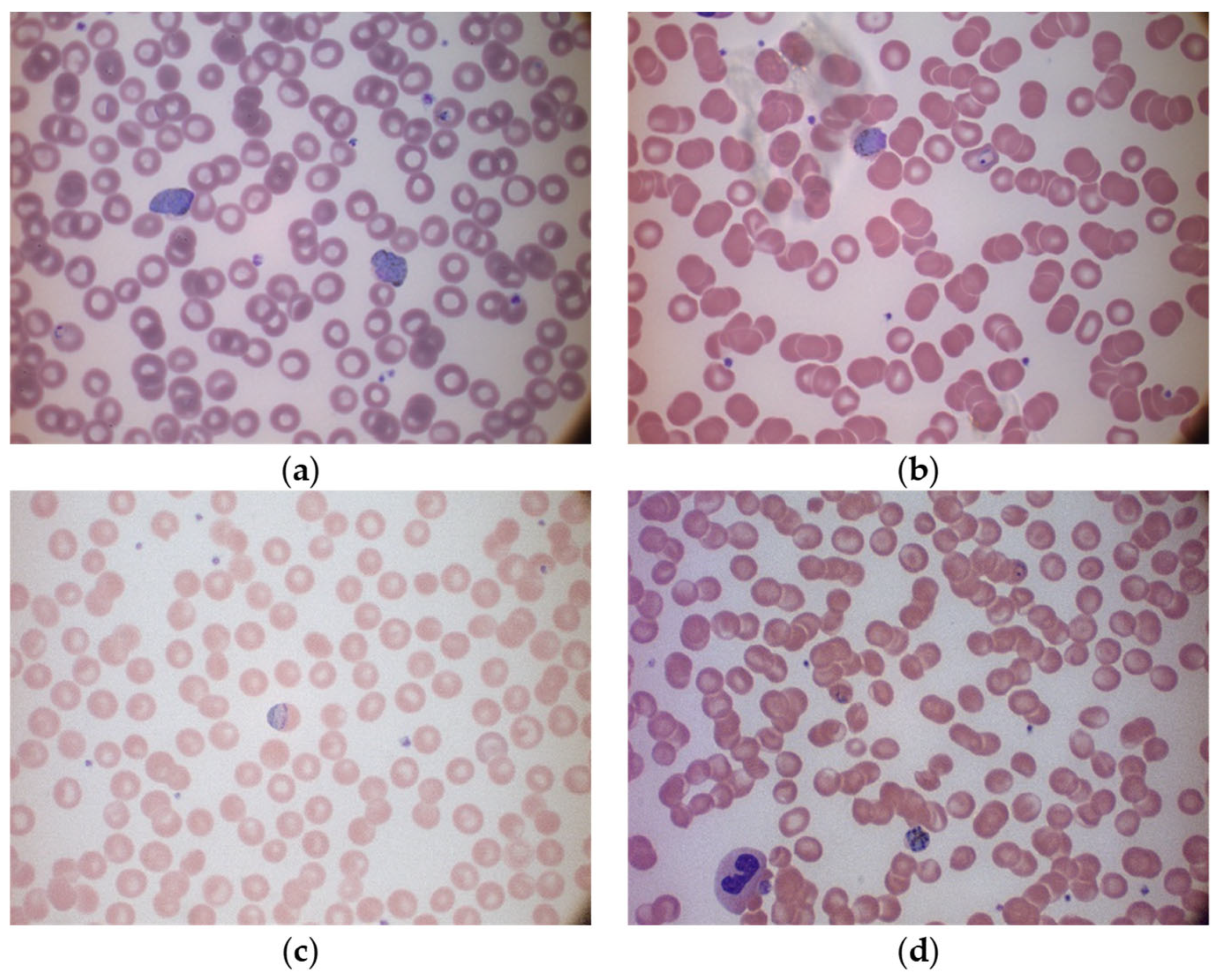 Applsci 14 08402 g002