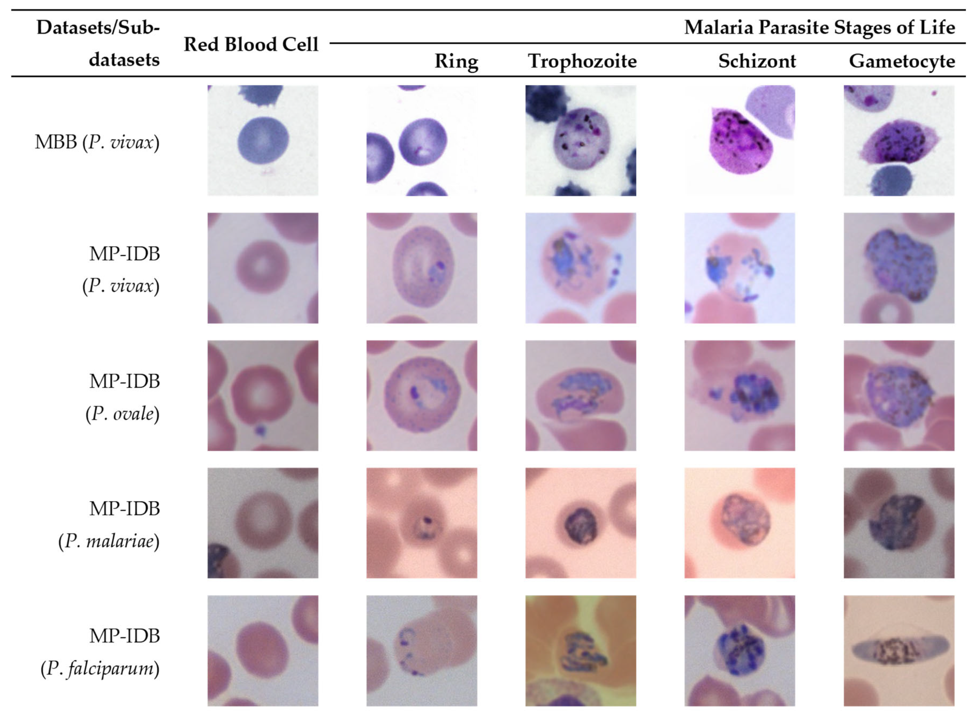 Applsci 14 08402 g003