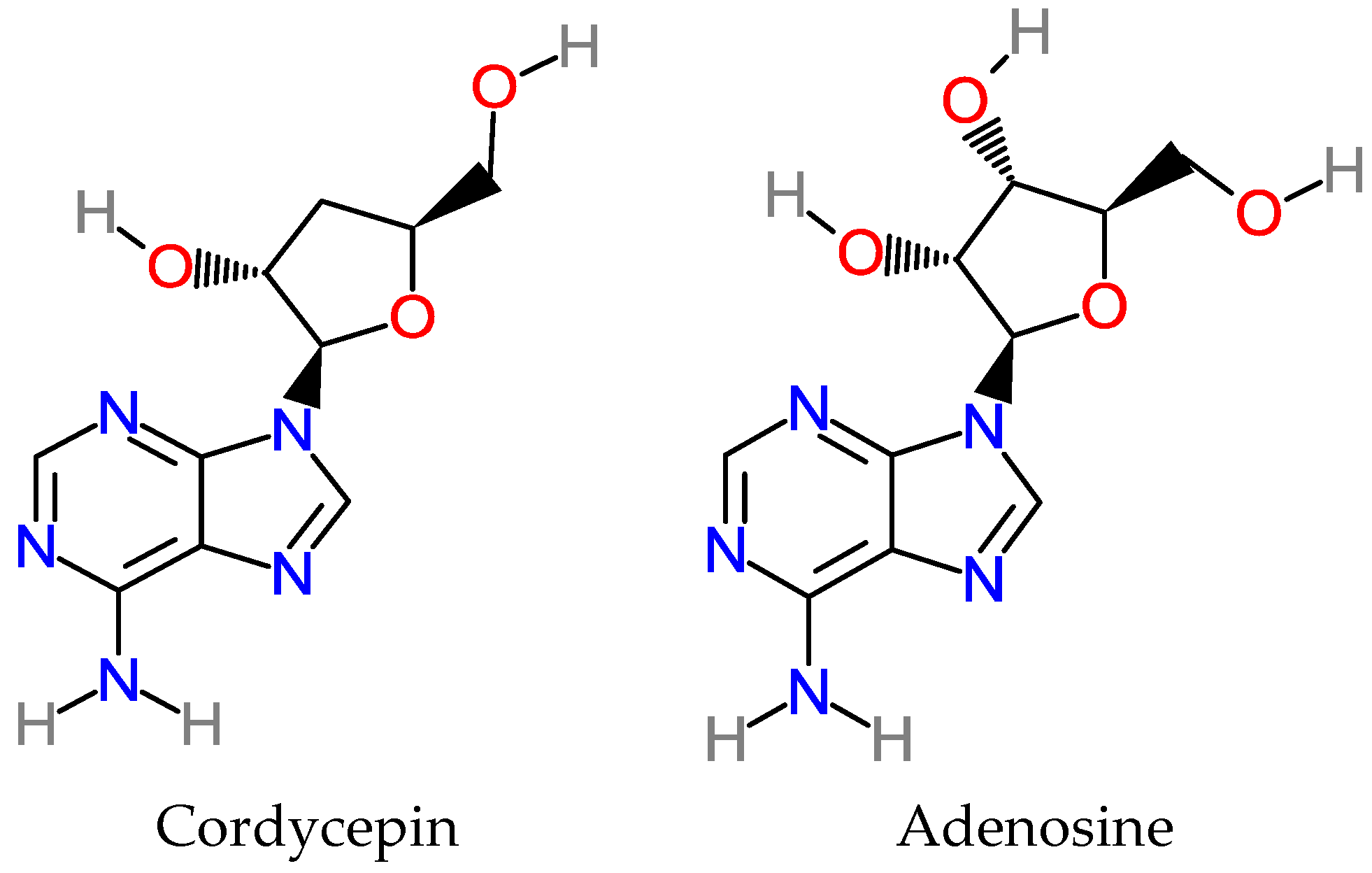 Applsci 14 08418 g001