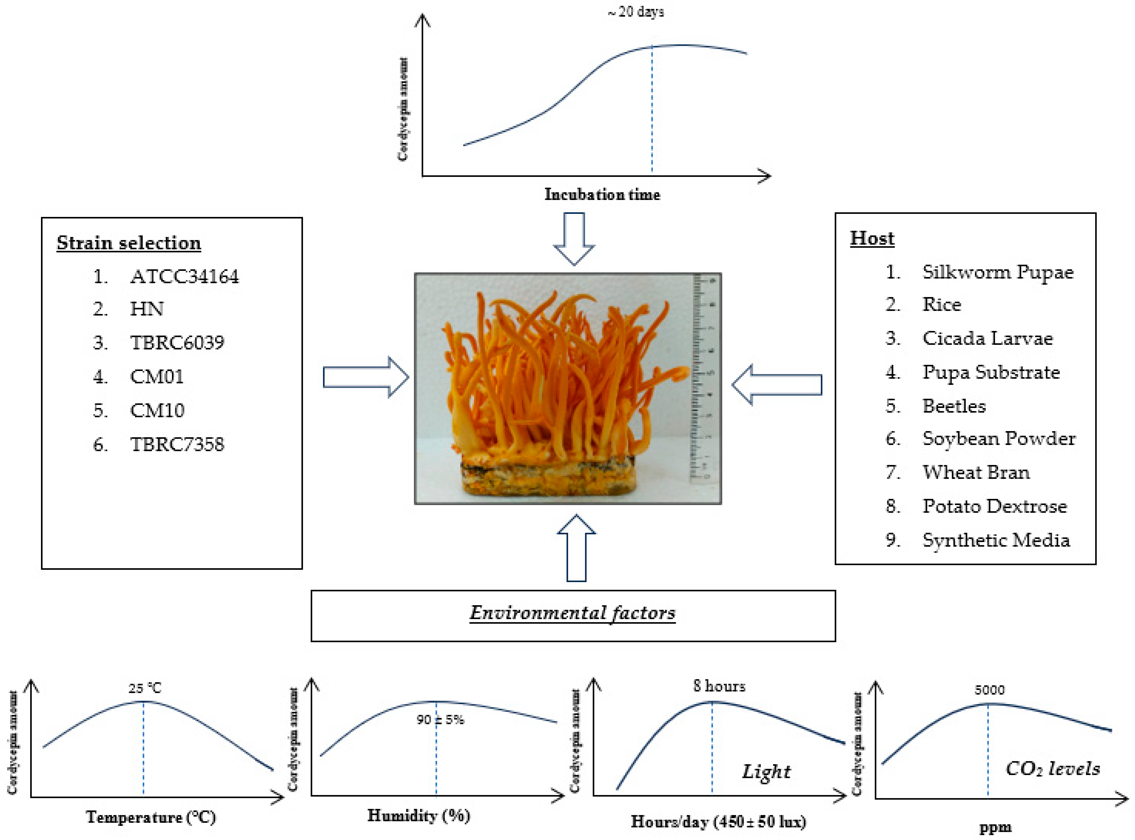 Applsci 14 08418 g003