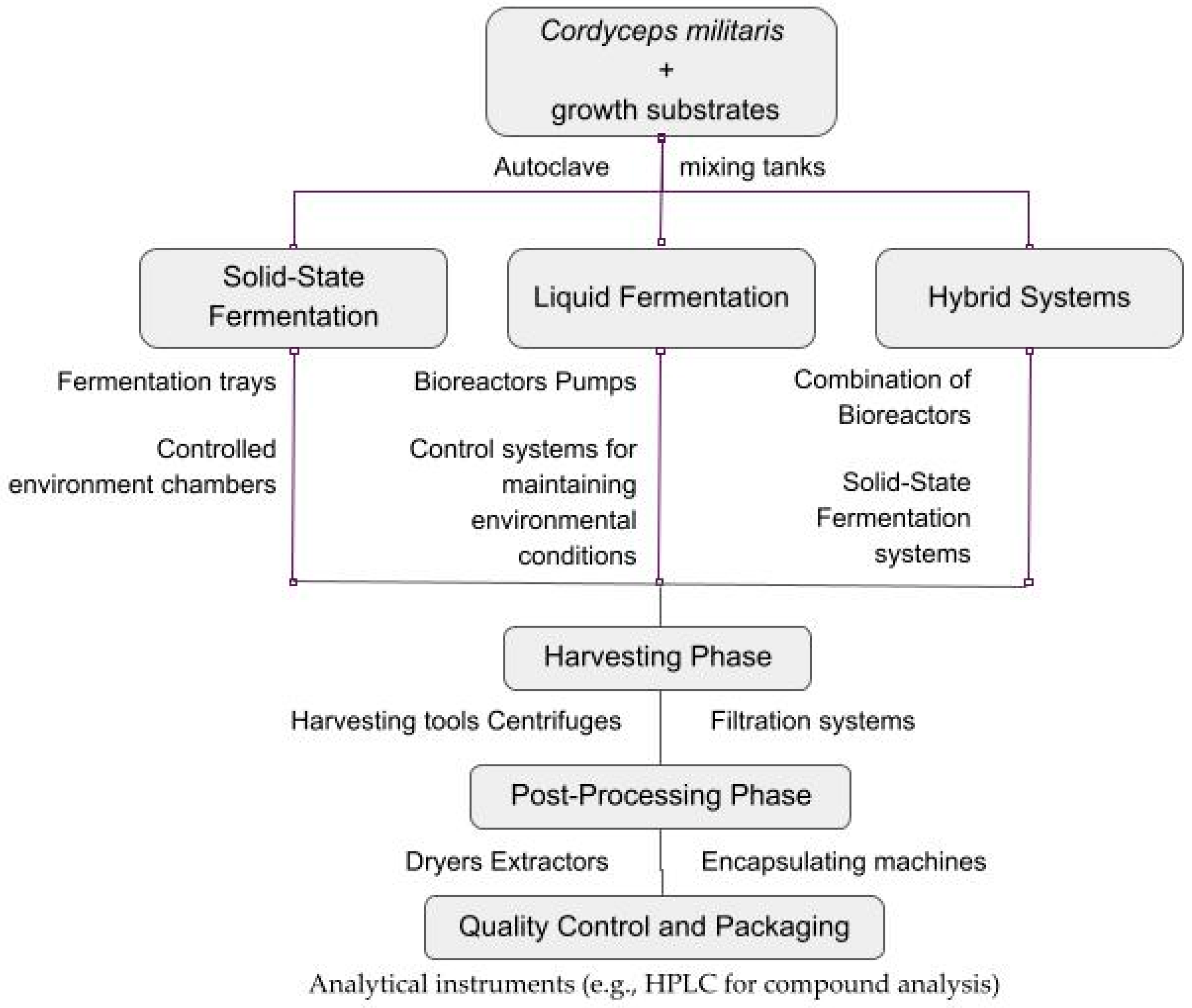 Applsci 14 08418 g004