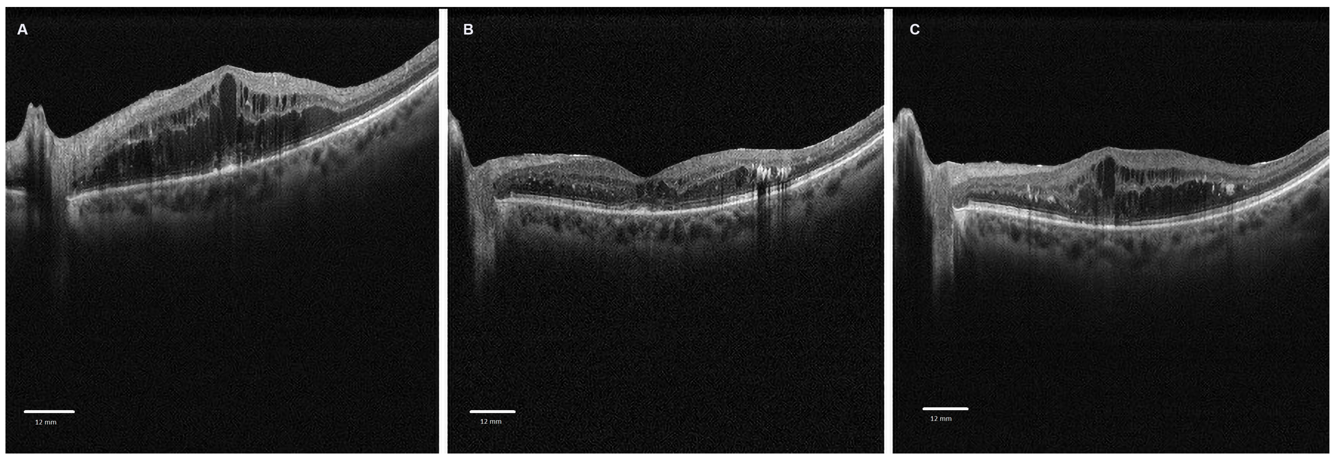 Applsci 14 08439 g001