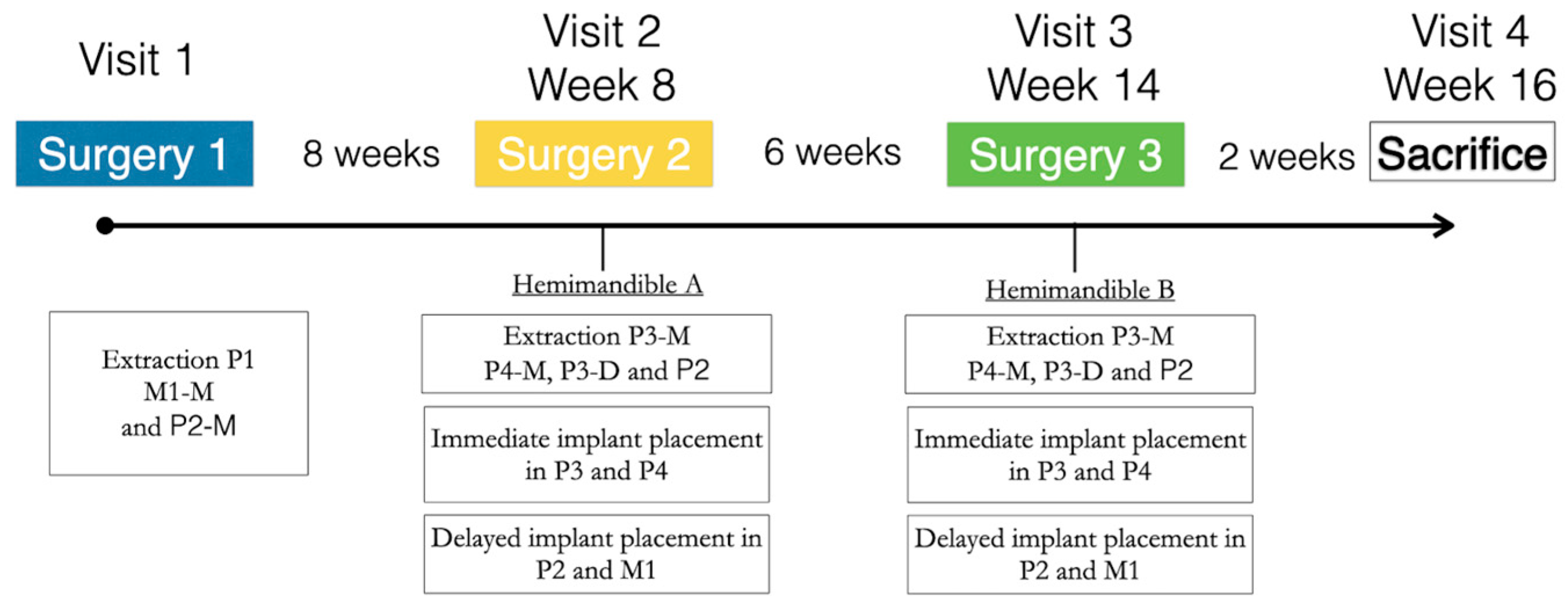 Applsci 14 08469 g001