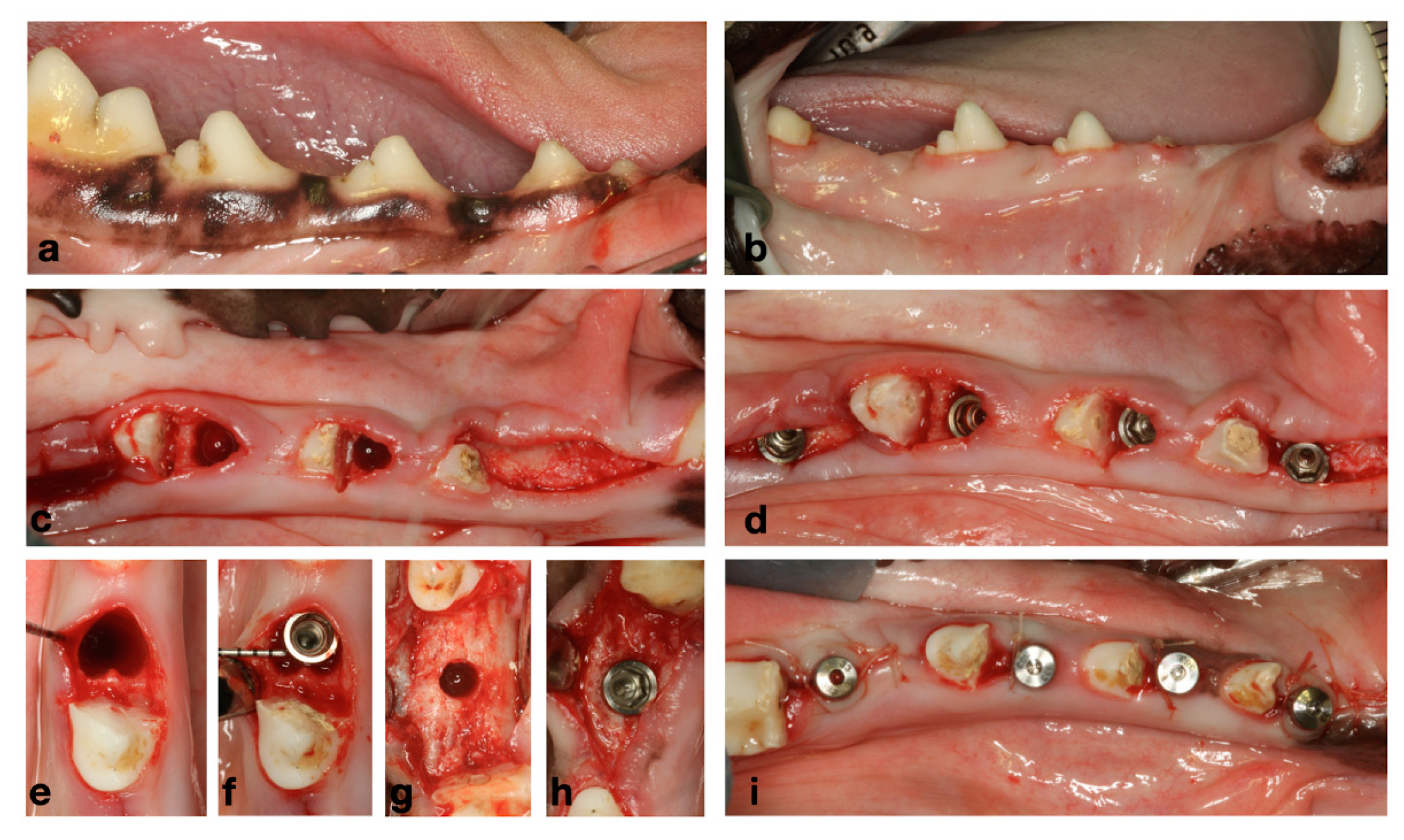 Applsci 14 08469 g002