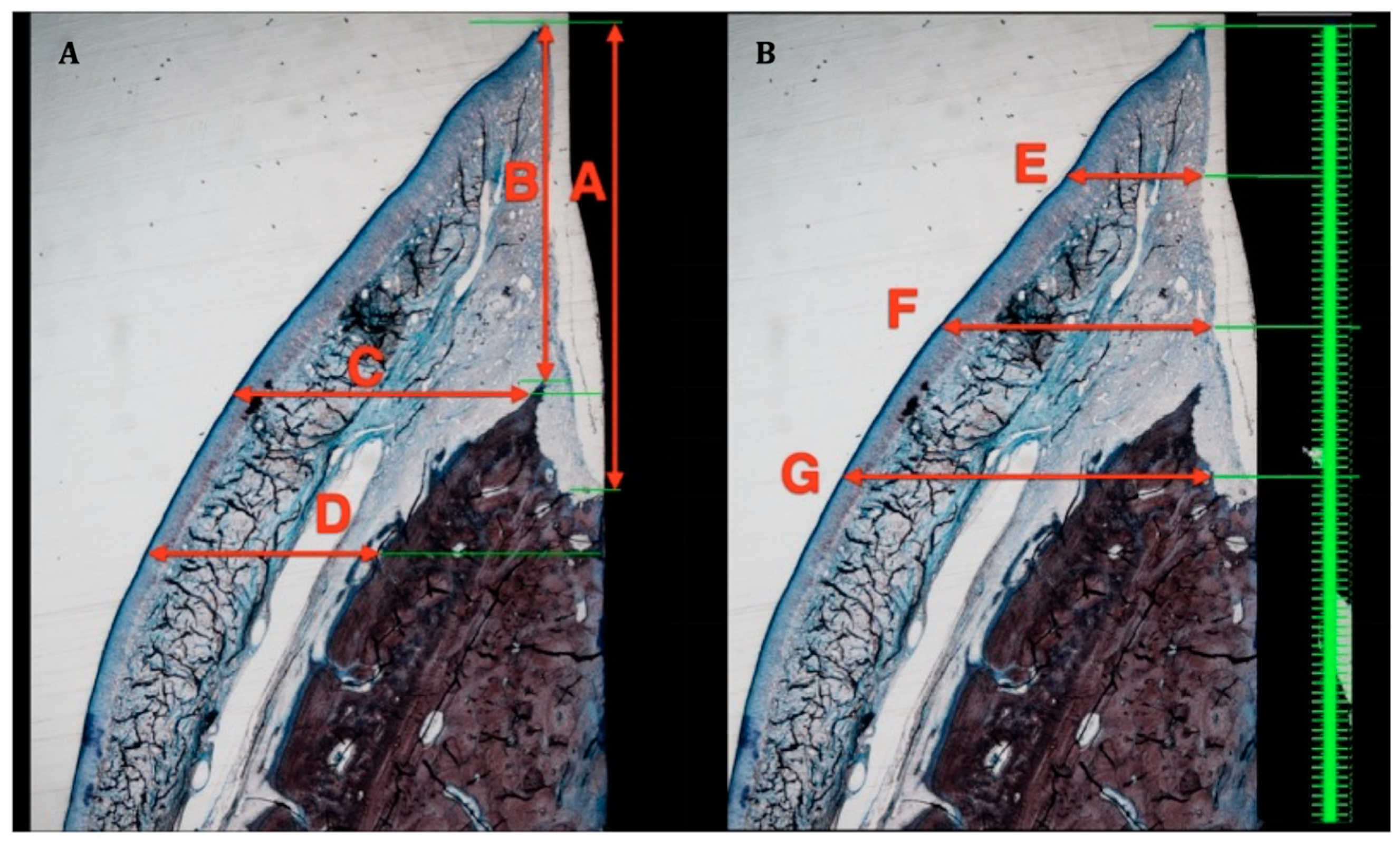 Applsci 14 08469 g003