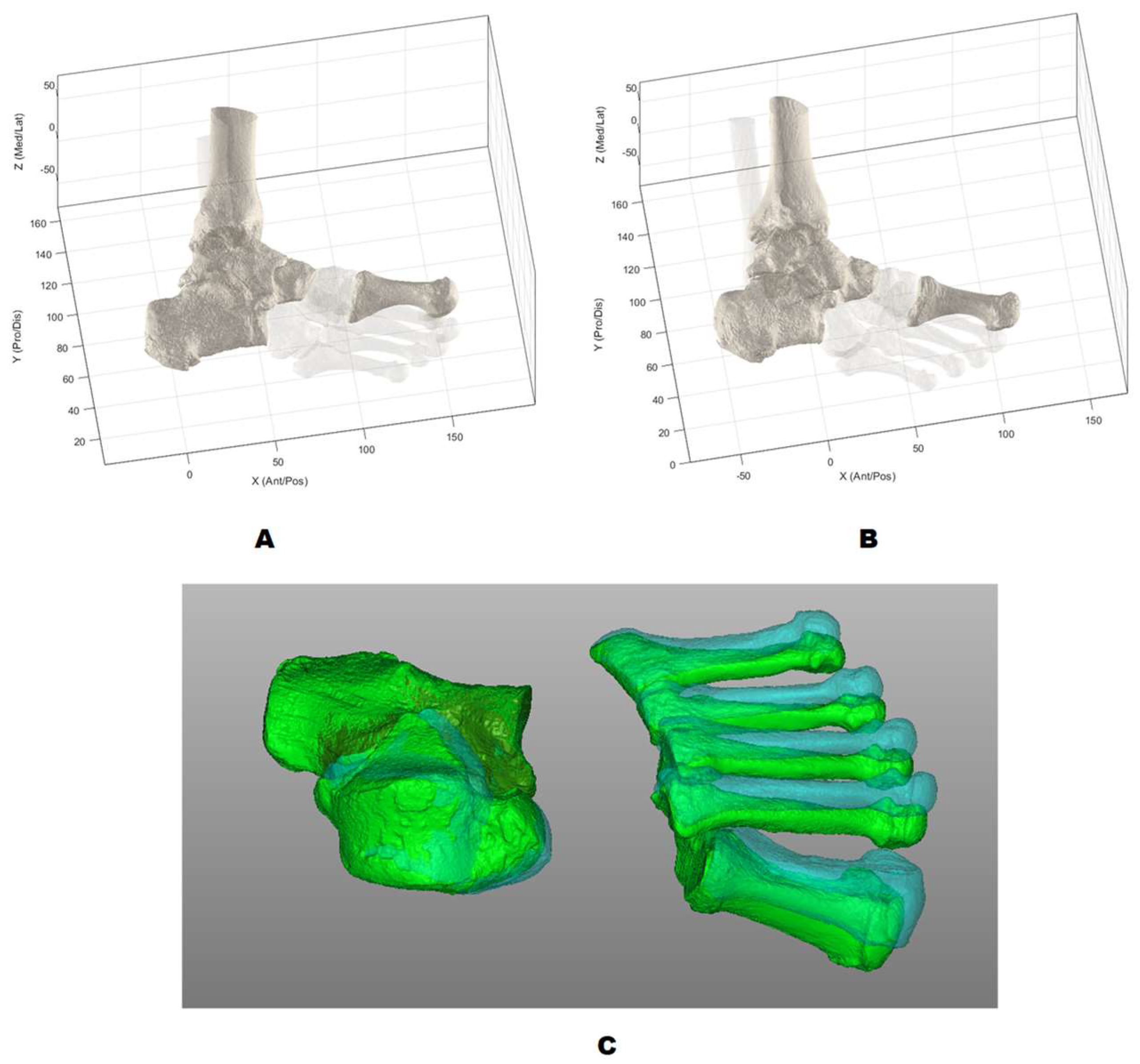 Applsci 14 08521 g001