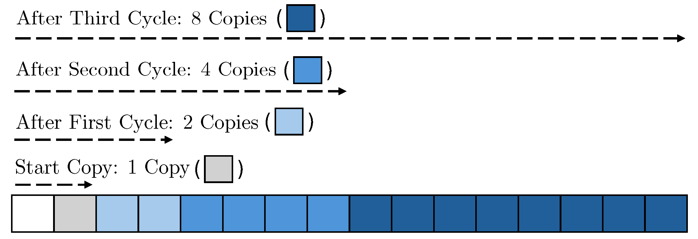Applsci 14 08579 g003