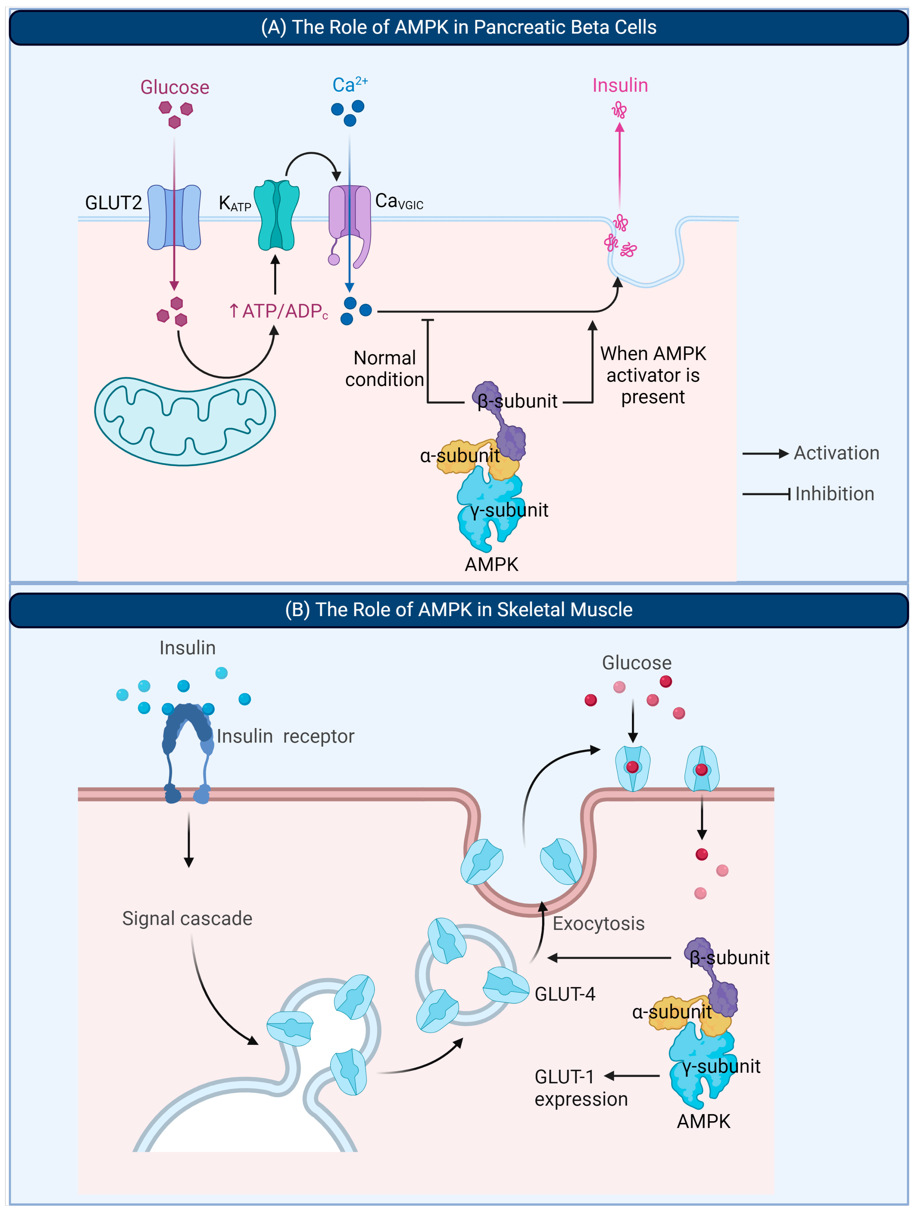 Applsci 14 08607 g002