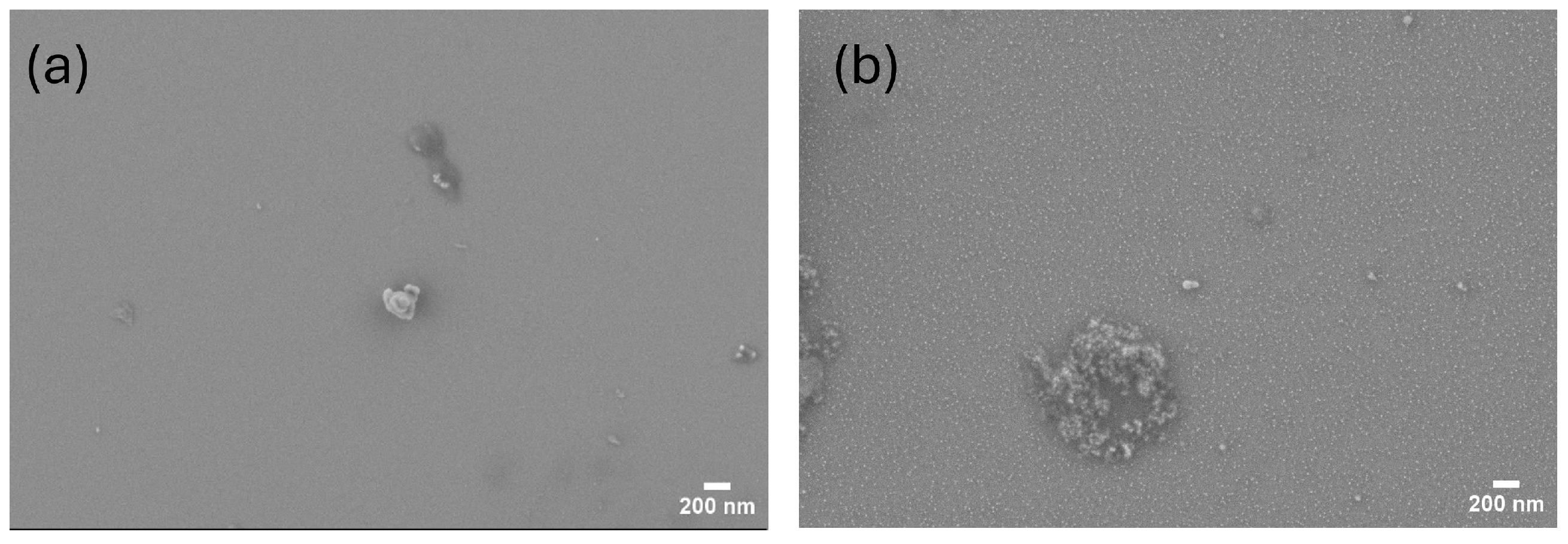 Applsci 14 08635 g006 Applsci 14 08635 g006