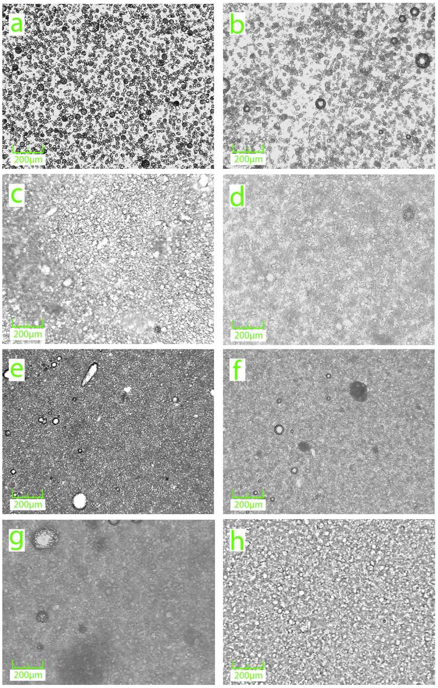 Applsci 14 08648 g002