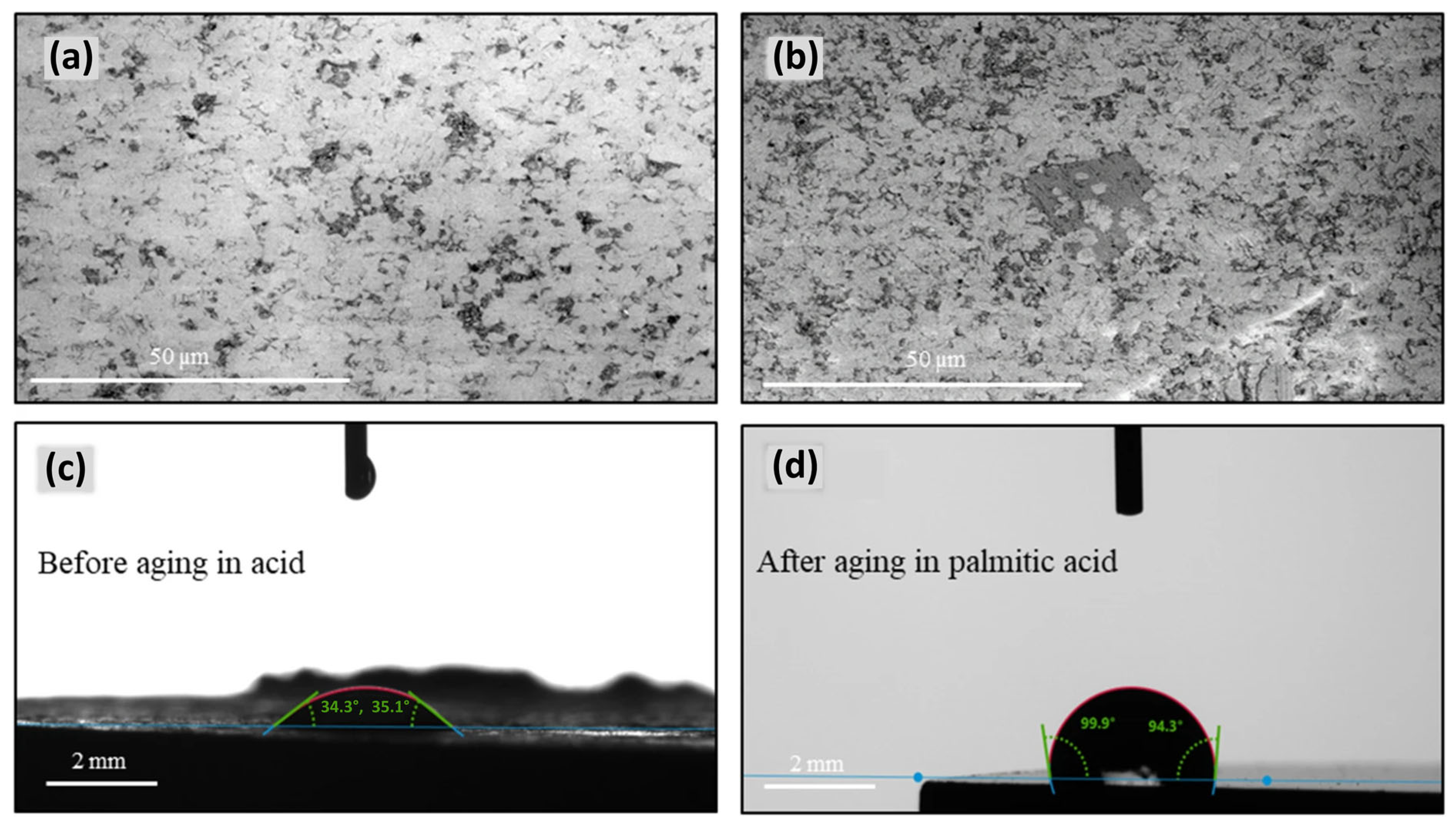 Applsci 14 08663 g006