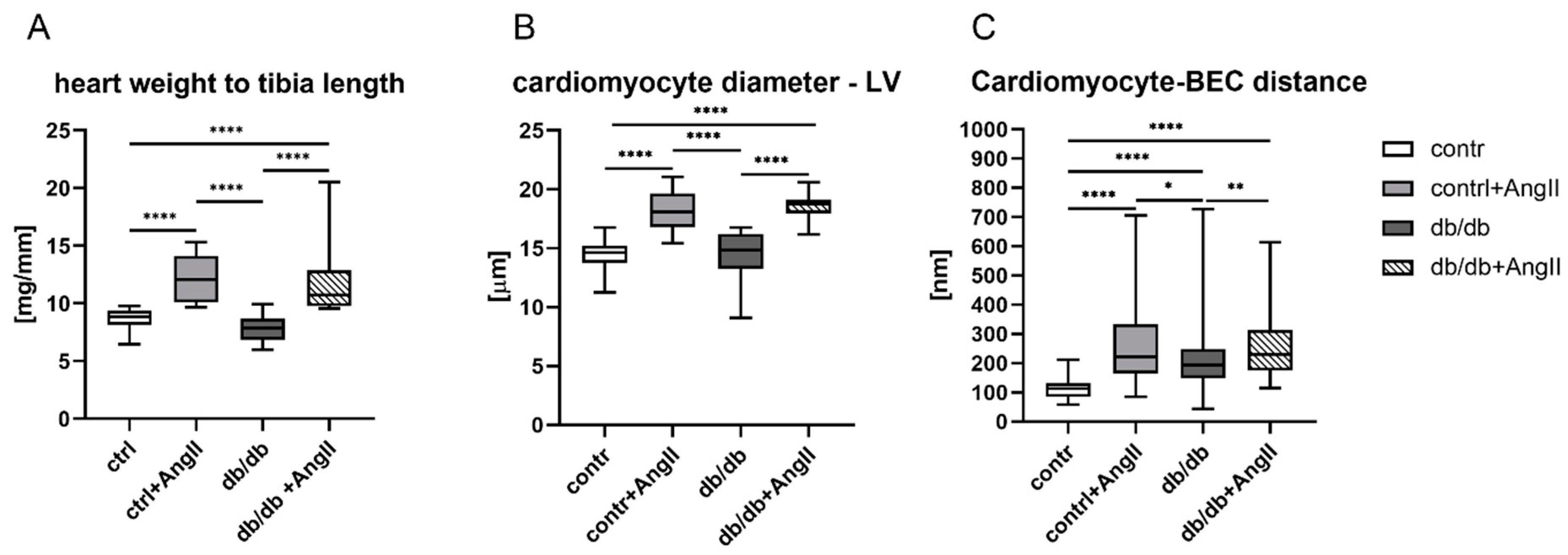 Applsci 14 08675 g003