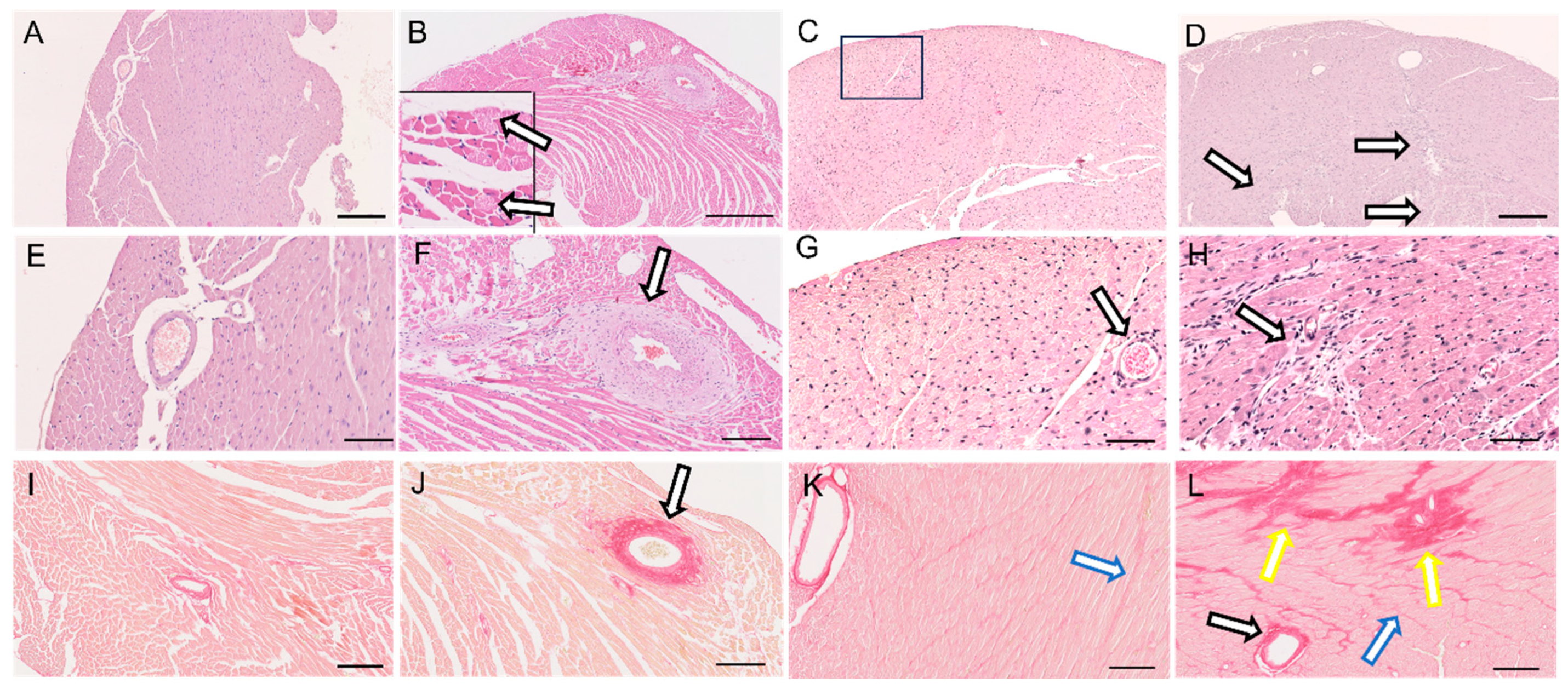 Applsci 14 08675 g004